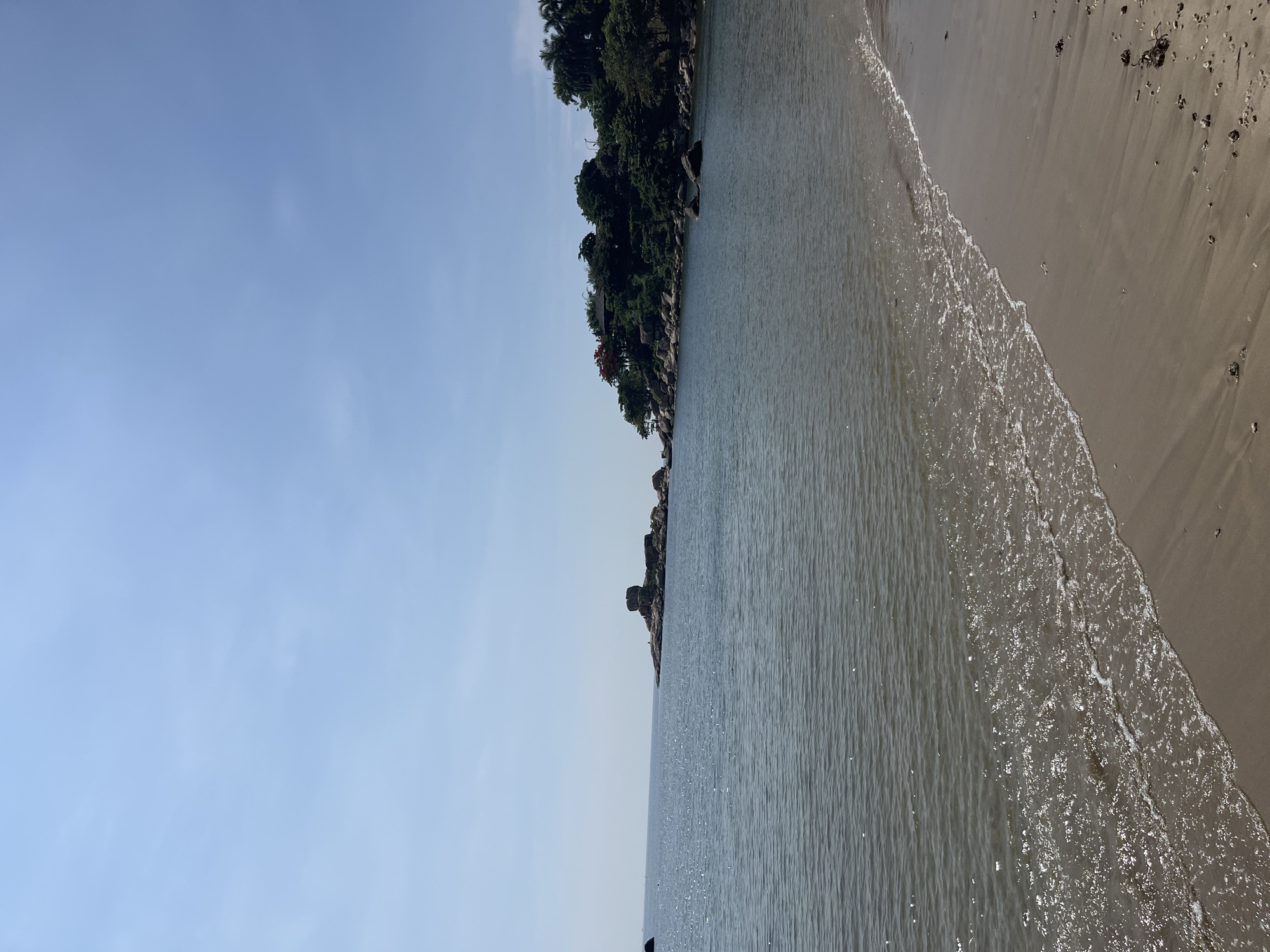 The image captures a coastal scene in Bac Nha Trang Ward, Vietnam, under a clear, sunny sky. The upper third of the frame is dominated by a light blue sky with only very faint, diffuse high clouds. The middle ground is occupied by calm, grey-blue ocean water, reflecting numerous bright glints of sunlight across its surface.
In the mid-distance, to the left of the central axis, a rocky outcrop or small island consisting of several grey-brown boulders is visible. A distinctly large, irregularly shaped rock formation sits atop this outcrop. A single, small, indistinct human figure is standing on the rocks to the right of this primary boulder.
To the right side of the frame, a larger, verdant headland extends into the water. This headland is densely covered with various green trees, including several palm trees on its upper slopes. Numerous large, grey boulders are scattered along the water's edge and up the incline of the headland. A structure with a dark roof, possibly a building or pavilion, is partially visible nestled among the trees near the crest of the headland. A prominent patch of bright red foliage is located adjacent to this structure. Faint indications of a road or path and a utility pole are discernible behind the trees on the far upper right side of the headland.
The immediate foreground consists of a light brown sandy beach, slanting diagonally from the bottom left to the upper right. Small, gentle waves with white foam crests are breaking along the shoreline. The wet sand near the water's edge and further up the beach contains scattered small natural debris, including pebbles and dark organic matter.