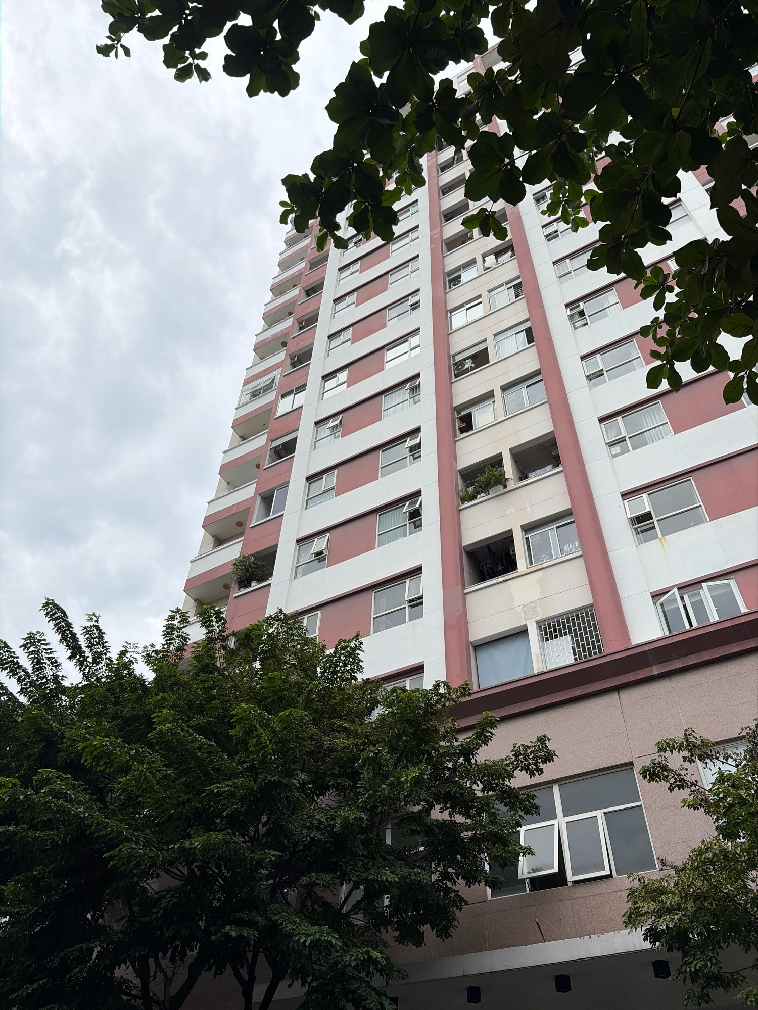 This is a low-angle, full-frame, eye-level, outdoor, daytime, natural light photograph looking up at a tall, multi-story apartment building in Da Nang, Vietnam, with lush green trees in the foreground and upper edges of the frame. The building is primarily white with horizontal bands of pinkish-red. Numerous windows and balconies are visible on the facade. The sky is overcast and grey. The trees obscure parts of the building and sky. The overall scene suggests a residential area within the city.