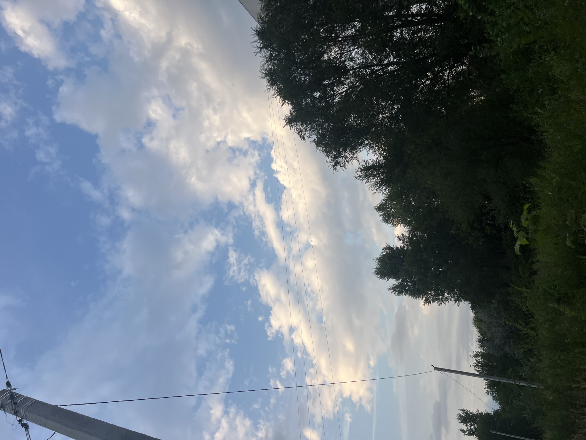 The image depicts an outdoor scene with a sky filled with a mix of blue and white clouds, illuminated by natural light. In the foreground, a dark silhouette of dense foliage, primarily trees and undergrowth, occupies the lower half of the frame. To the left, a utility pole with wires extends upwards into the sky. A thin wire runs horizontally across the middle ground, connecting to the utility pole. The scene suggests a rural or semi-rural setting, possibly on the outskirts of a city. The lighting and cloud formations indicate it is likely daytime, possibly late afternoon or early evening. There are no people or discernible structures visible in the image, apart from the utility pole and a hint of a building on the far right edge of the frame. The provided crops highlight the sky, the utility pole, and the treeline, offering closer views of these elements. The image was taken in the city of Ulyanovsk, Russia.