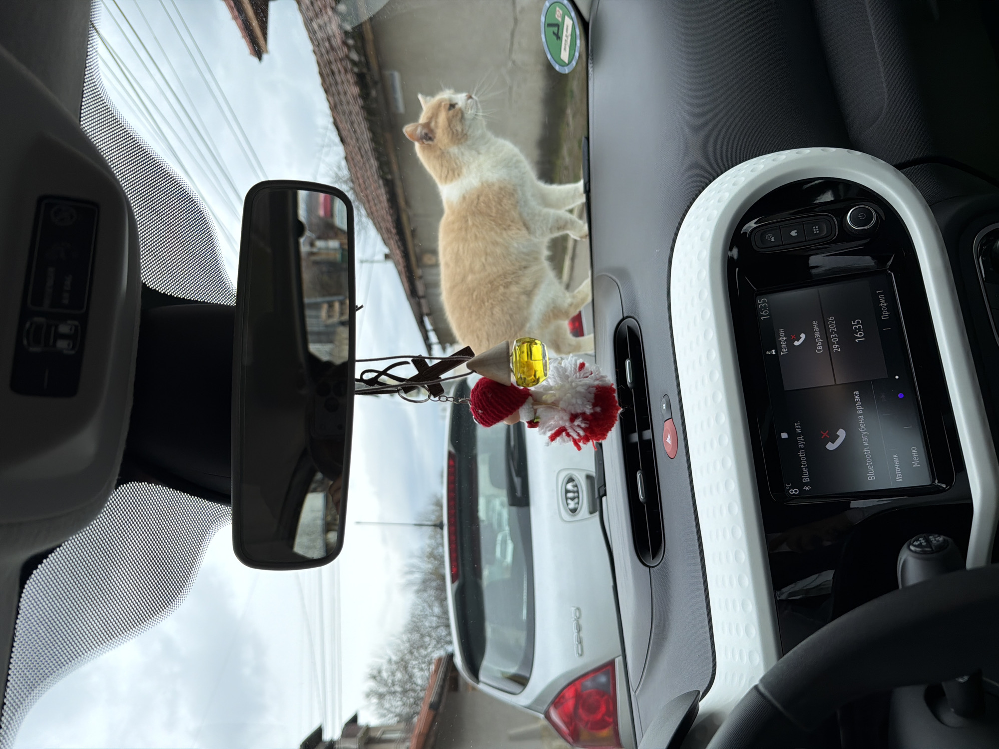 A tan and white cat stands on the windshield of a car, viewed from the inside of another car. The car the viewer is in has a rear-view mirror, a red and white decorative item hanging below the mirror, and a dashboard with a built-in screen showing Bulgarian text and a date of 29-03-2026. A white Kia is visible through the windshield. The buildings in the background suggest an urban or suburban environment. The image was taken in the city of Buhovo, Bulgaria.