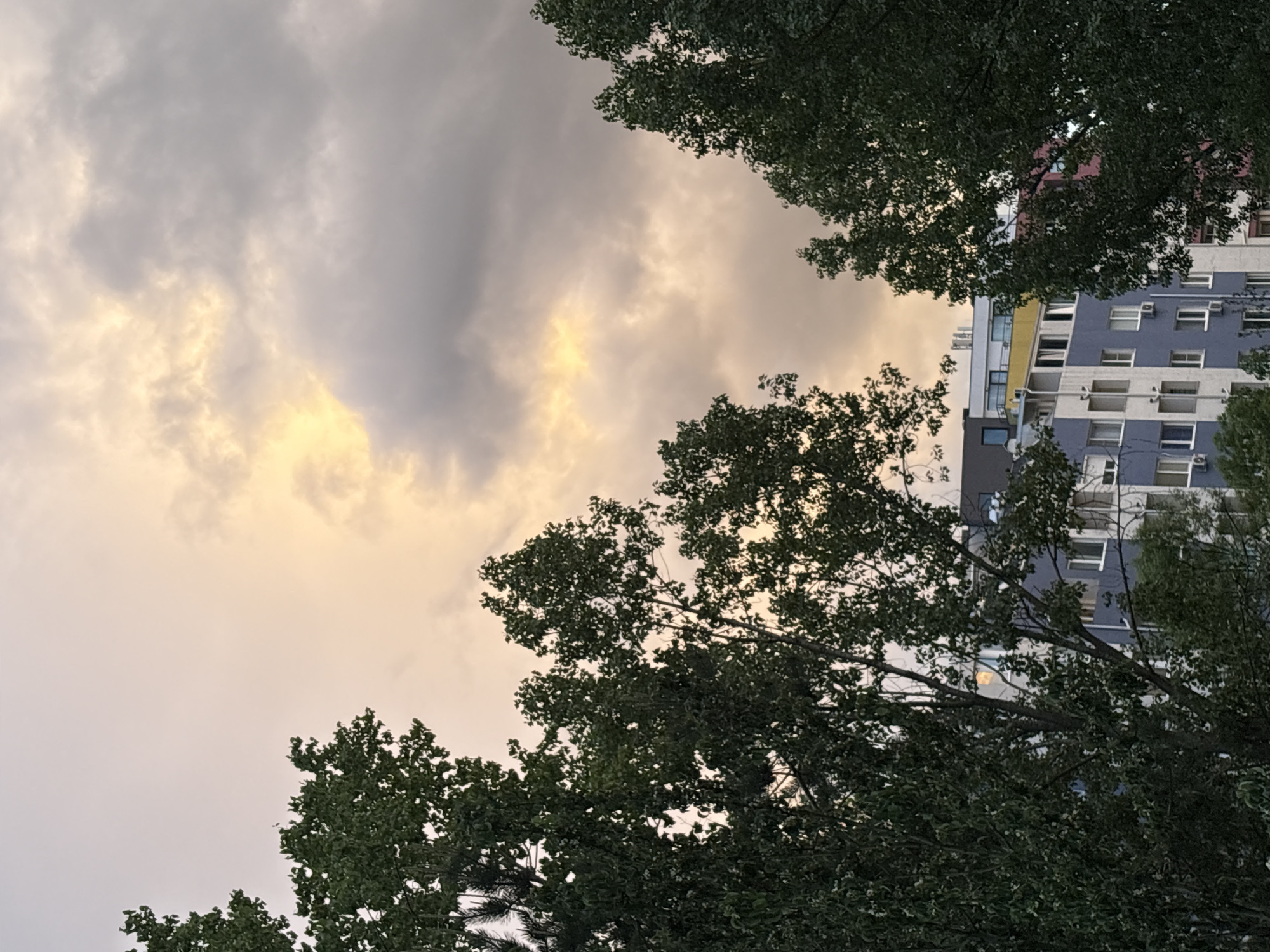 The image depicts a cloudy sky with trees in the foreground, partially obscuring a tall building. The building appears to be residential, with multiple windows and a blue and white facade with yellow accents. The image has an upward angle, suggesting the photographer is looking up. The scene is most likely located in an urban environment with tall buildings. Given the location constraint, the city is Sofia, Bulgaria. However, the image does not allow pinpointing the exact street.
