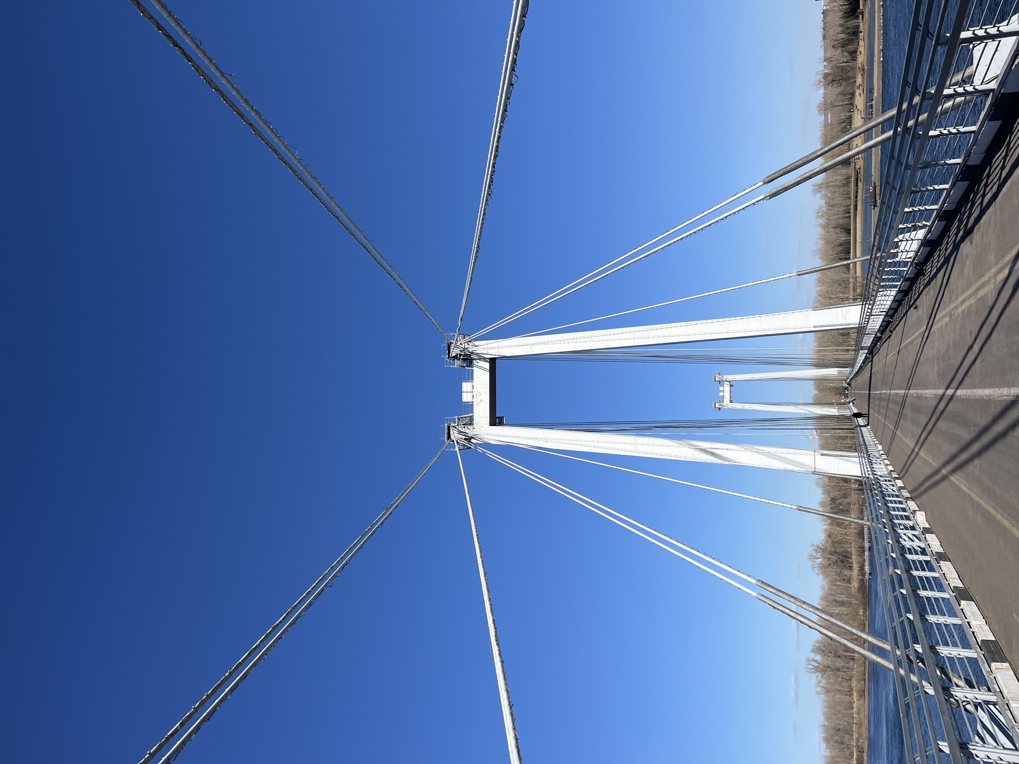 This eye-level, horizontally oriented image captures the Vinogradovsky Bridge in Krasnoyarsk, Russia. The bridge is comprised of white towers, support cables, and metal railings. A black paved road bisects the bridge. The background reveals a narrow strip of trees that stand on either side of a body of water. A clear blue sky dominates the top of the shot.