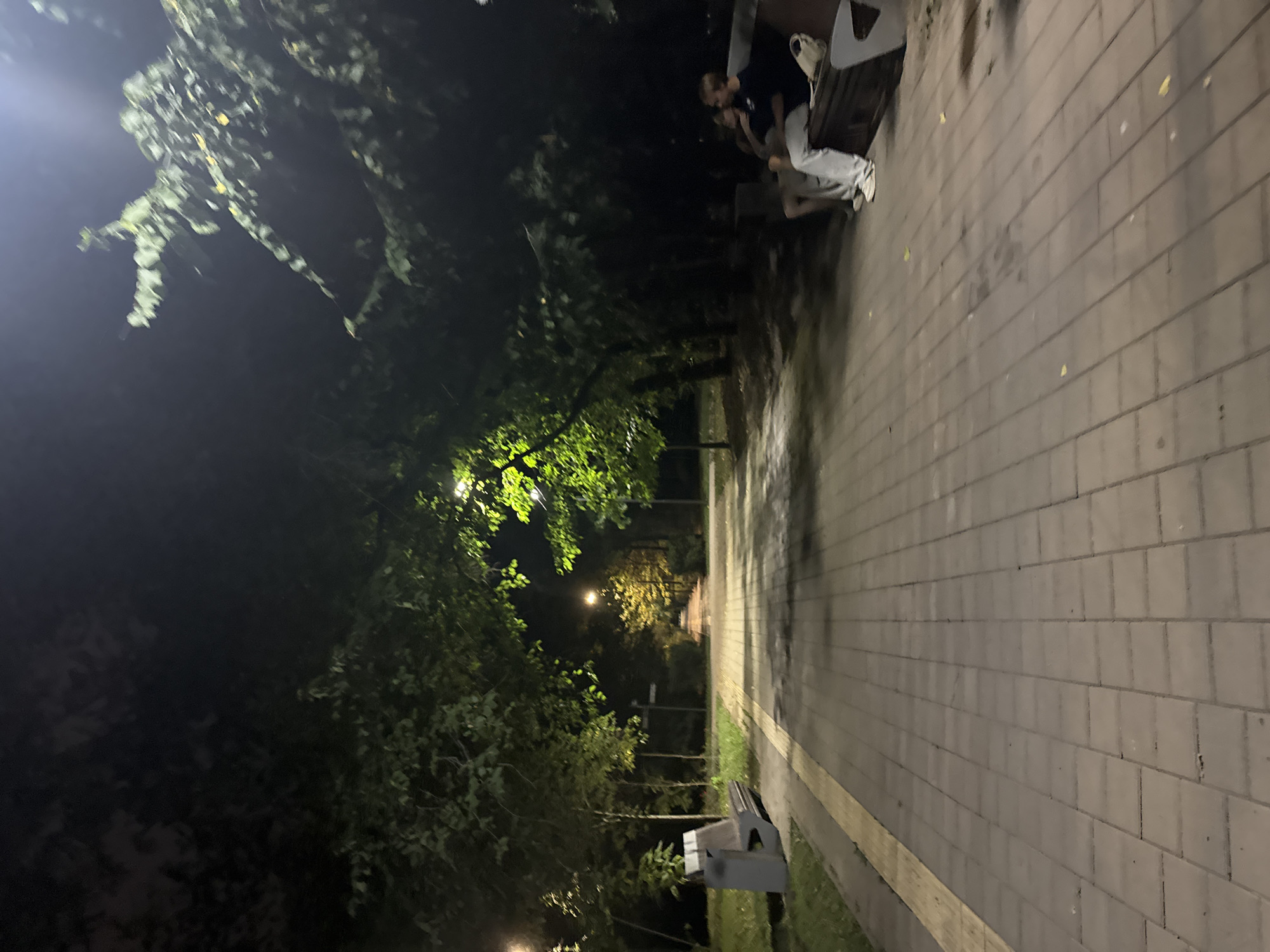 The image depicts a paved pedestrian walkway in a park at night, illuminated by streetlights and ambient light from nearby trees. The walkway is made of light gray interlocking bricks, bordered on the left by a strip of yellow tactile paving and a grassy area with a modern gray bench. Further down the walkway, more trees with illuminated green foliage line both sides, creating a tunnel-like effect. In the distance, the walkway curves and is lit by warm yellow lights. On the right side of the walkway, two people are seated on a dark wooden bench. A man in a dark t-shirt and light-colored pants is on the left, with his arm around a person next to him, who is wearing light-colored pants. A white bag rests on the bench beside them. The overall scene suggests a quiet evening in an urban park, potentially in Almaty, Kazakhstan, given the prompt's context, though this specific location cannot be confirmed solely from the visual information.