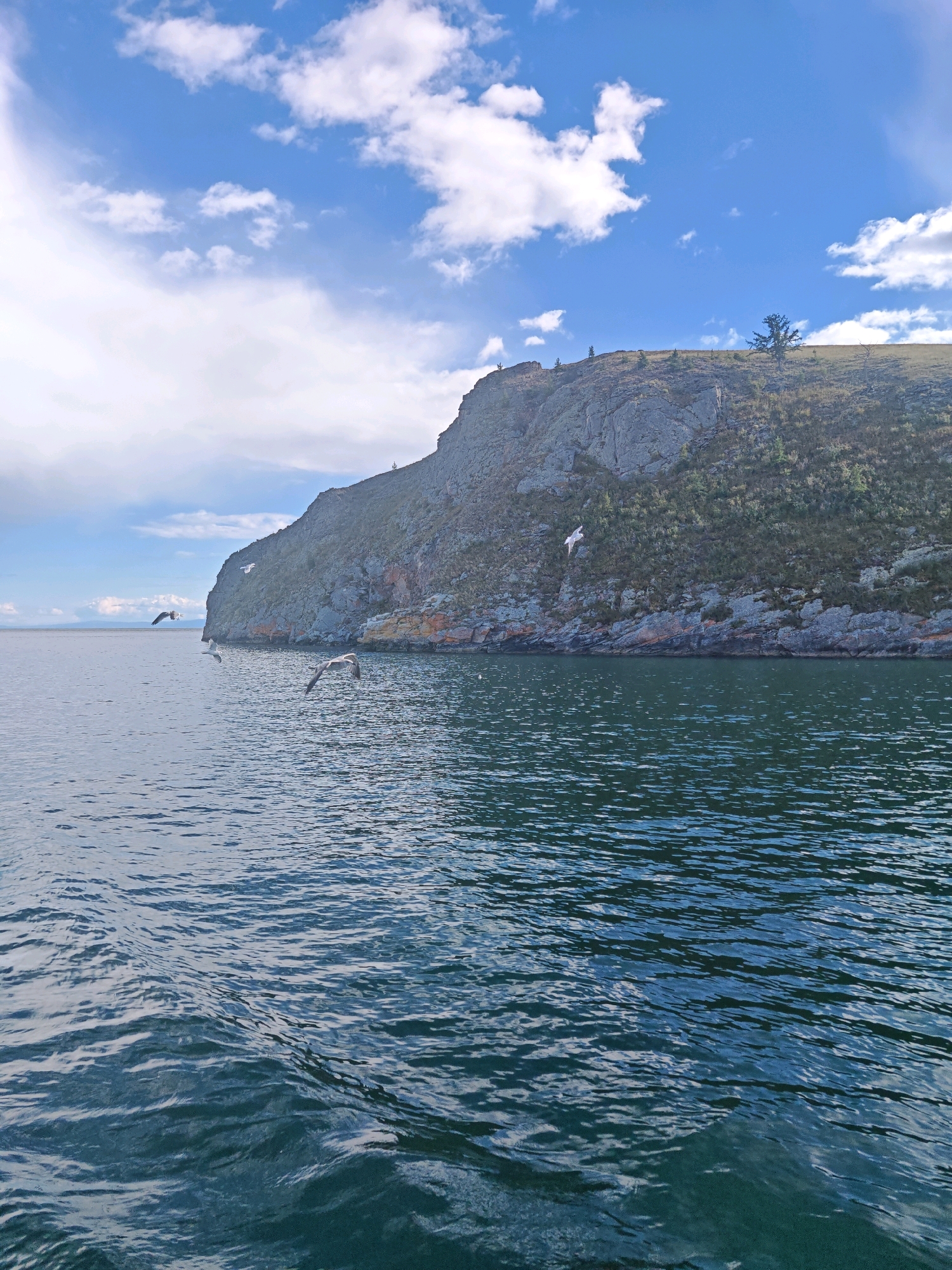 The image shows a body of water with a cliff face in the background. Several seagulls are flying in the scene. The water is dark and appears to be choppy. The cliff face is rocky and covered in vegetation in some areas. The sky is blue with scattered white clouds. The location is identified as the city of Sakhiurta, Russia.