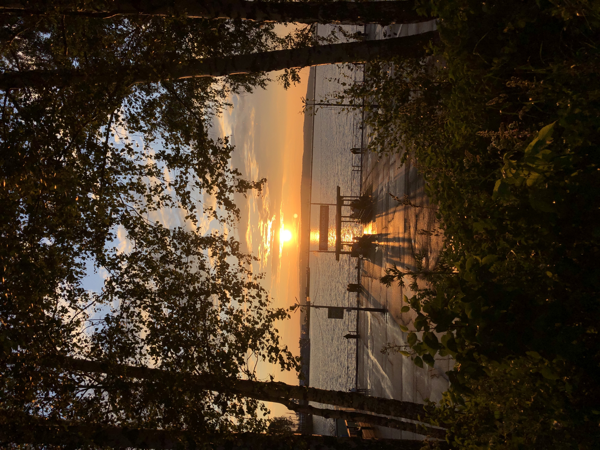 The image depicts a sunset over the Kama River in Chaikovsky, Russia, as viewed through a frame of trees. In the foreground, silhouetted by the setting sun, is dense foliage and the trunks of birch trees. Beyond the trees, a paved embankment runs along the river. Several indistinct figures can be seen on the embankment, some near a covered pier with a sign. The river itself is wide and calm, reflecting the vibrant orange and yellow hues of the sunset. The sky is a mix of orange, yellow, and blue, with scattered clouds. The wet pavement of the embankment suggests recent rain, with long shadows cast by the pier and streetlights.