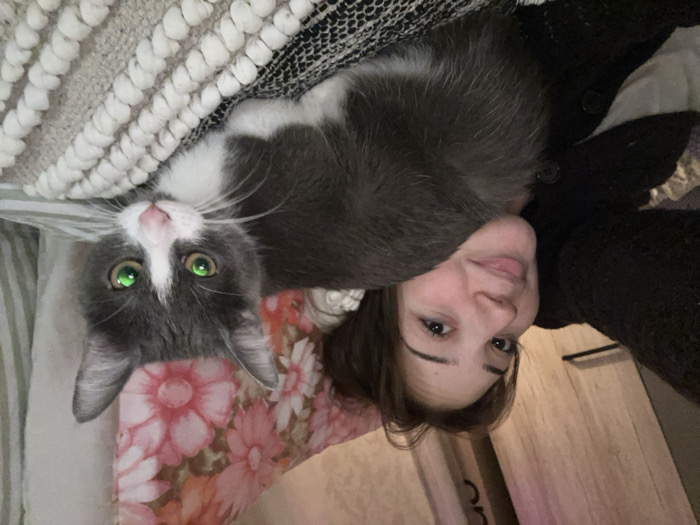 A woman and a gray and white cat are close together in a selfie-style image, rotated upside down. The cat is looking directly at the camera with bright green eyes. The woman is smiling slightly. A textured white and gray blanket is in the background, along with a floral patterned pillow. A dark sweater and wooden surface are also visible.