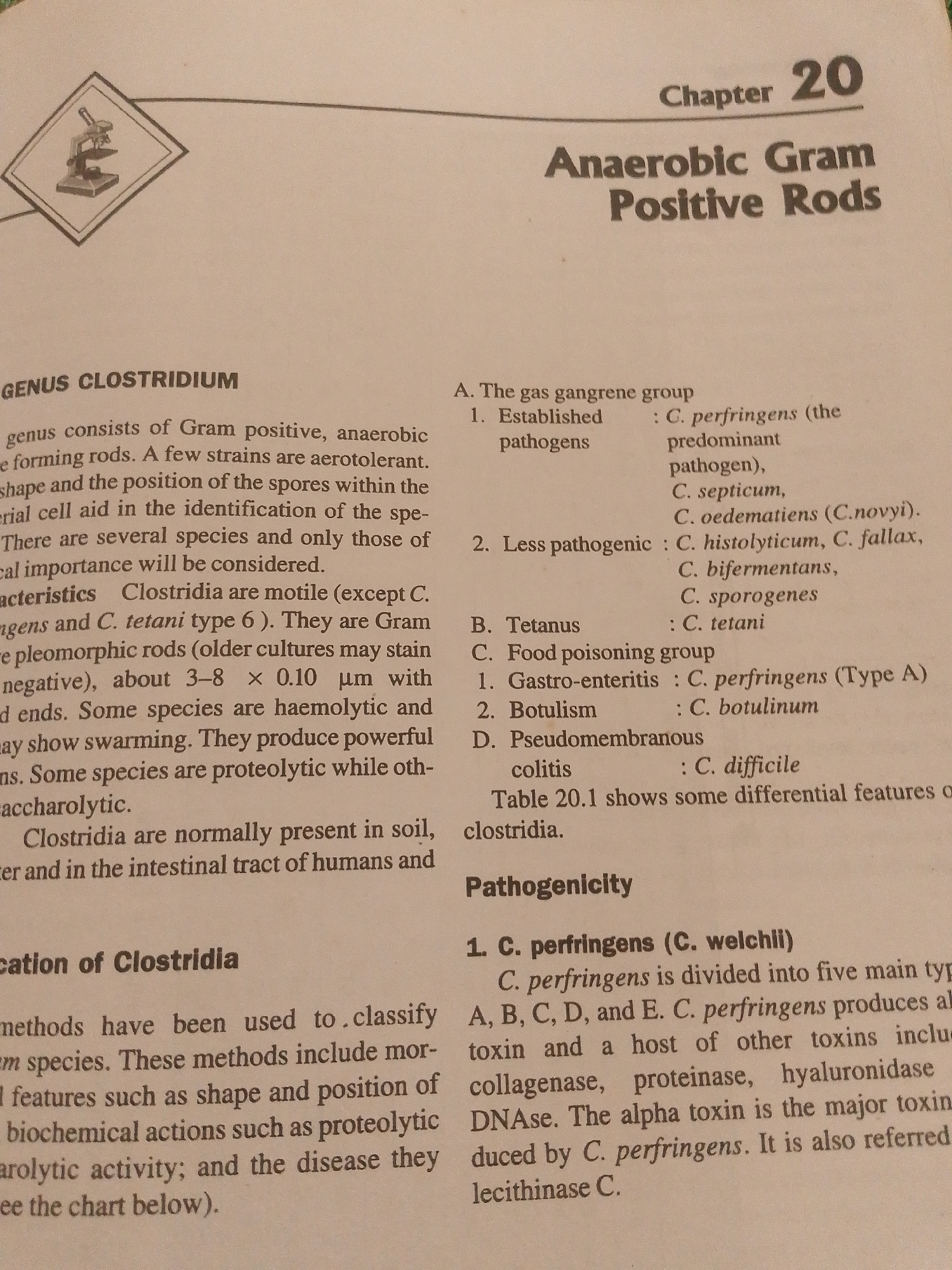 The image is a page from a textbook titled "Chapter 20 Anaerobic Gram Positive Rods". The page contains text and a small illustration of a microscope. The text discusses the genus Clostridium, its characteristics, classification, and pathogenicity. It details different species, their roles as pathogens, and diseases they cause, such as gas gangrene, tetanus, botulism, and colitis. A specific section focuses on Clostridium perfringens, its types, and the toxins it produces. The illustration of a microscope is located in the top left corner of the page. The text is presented in a clear, academic format with headings and bullet points. There is no information about the city of Jauro Yinu, Nigeria, in this image.