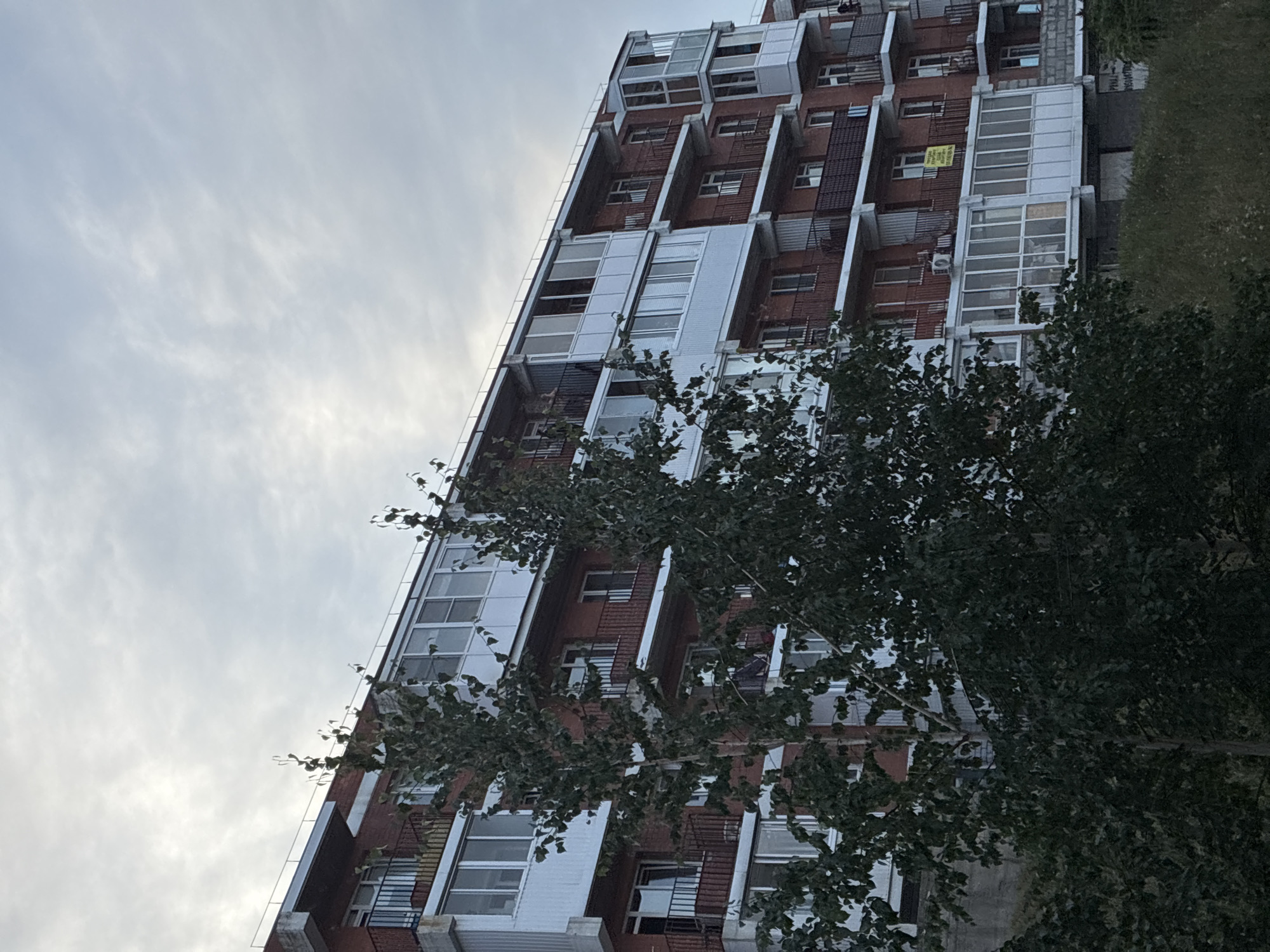 A medium-shot, eye-level, outdoor photograph shows a modern, multi-story apartment building with red brick and white balcony enclosures, located in the city of Markova, Russia. The sky above is overcast and gray. Two trees with dense green foliage partially obscure the lower floors of the building. The building features multiple levels of balconies with dark railings and numerous windows. Some balconies are enclosed with glass. An air conditioning unit is visible on one of the balconies, and a yellow sign with Cyrillic text is hanging in one of the windows. The ground in front of the building is covered with overgrown grass and vegetation. The overall scene appears to be taken in the late afternoon or early evening, given the soft, diffused lighting.