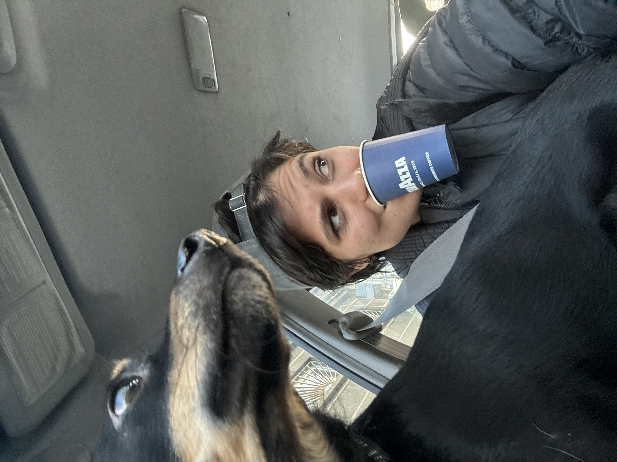 The image captures a candid, close-up view inside a vehicle, likely a car, featuring a person and a dog. A person with dark hair, wearing a dark padded jacket and a dark cap or headband, is seen looking upwards and slightly to the right with an inquisitive or amused expression. A blue disposable coffee cup is held near their mouth, appearing as if they are drinking or about to. The dog, largely black with tan markings around its eye and snout, occupies the lower left foreground, looking up intently towards the person, perhaps seeking attention or a share.
The setting is a car interior, with a light gray ceiling/headliner and a sun visor visible. Through the car's side window, bright daylight illuminates an urban background with a distinctive structure featuring a spiral or lattice-like design. The strong light suggests it is daytime with clear weather.
The blue coffee cup clearly displays the brand name "LAVAZZA," along with smaller visible text that reads "QUALITY COFFEE" and "DAL 1895." The intimate interaction between the focused dog and the person holding the coffee creates a sense of shared, casual companionship within the car. This scene takes place in Sofia, Bulgaria.