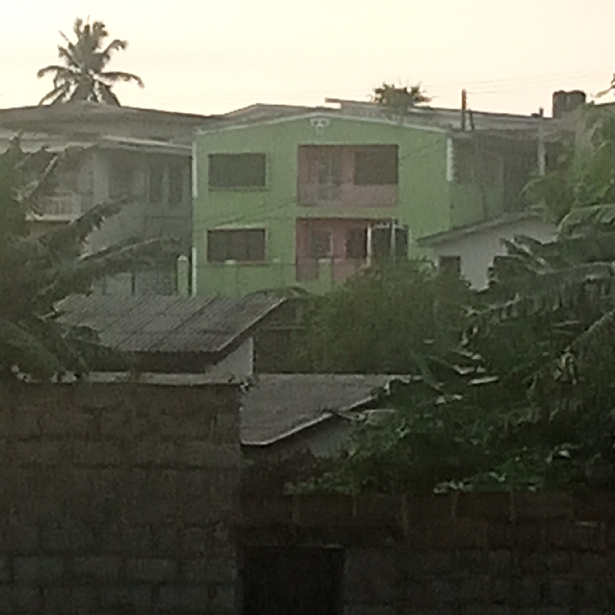 This is a medium-range, slightly grainy, eye-level outdoor photograph taken during the day in an urban environment, likely in Ibadan, Nigeria. The scene is dominated by several buildings and foliage.
In the mid-ground, a two-story building painted bright green is prominently featured. It has a light pink-colored section on the second floor, possibly a balcony or an extension. There are dark-colored window openings on both floors. To the left of the green building, another building with a grey roof and dark window openings is partially visible. This building appears to be older and perhaps less well-maintained.
In the foreground, a low, dark-colored brick wall runs horizontally across the frame. Beyond the wall and to the left, a section of a corrugated metal roof is visible, suggesting another, lower structure.
Lush green foliage, including what appears to be banana leaves and palm fronds, is interspersed throughout the image, obscuring parts of the buildings and contributing to a tropical or sub-tropical feel. A palm tree, with its distinctive fronds spread wide, is visible at the top left of the frame, extending above the buildings.
The sky is a pale, overcast yellow, suggesting a hazy or possibly a late afternoon or early morning setting. There are no people or animals visible in the photograph. The overall impression is one of a residential or mixed-use urban area with a strong presence of vegetation.