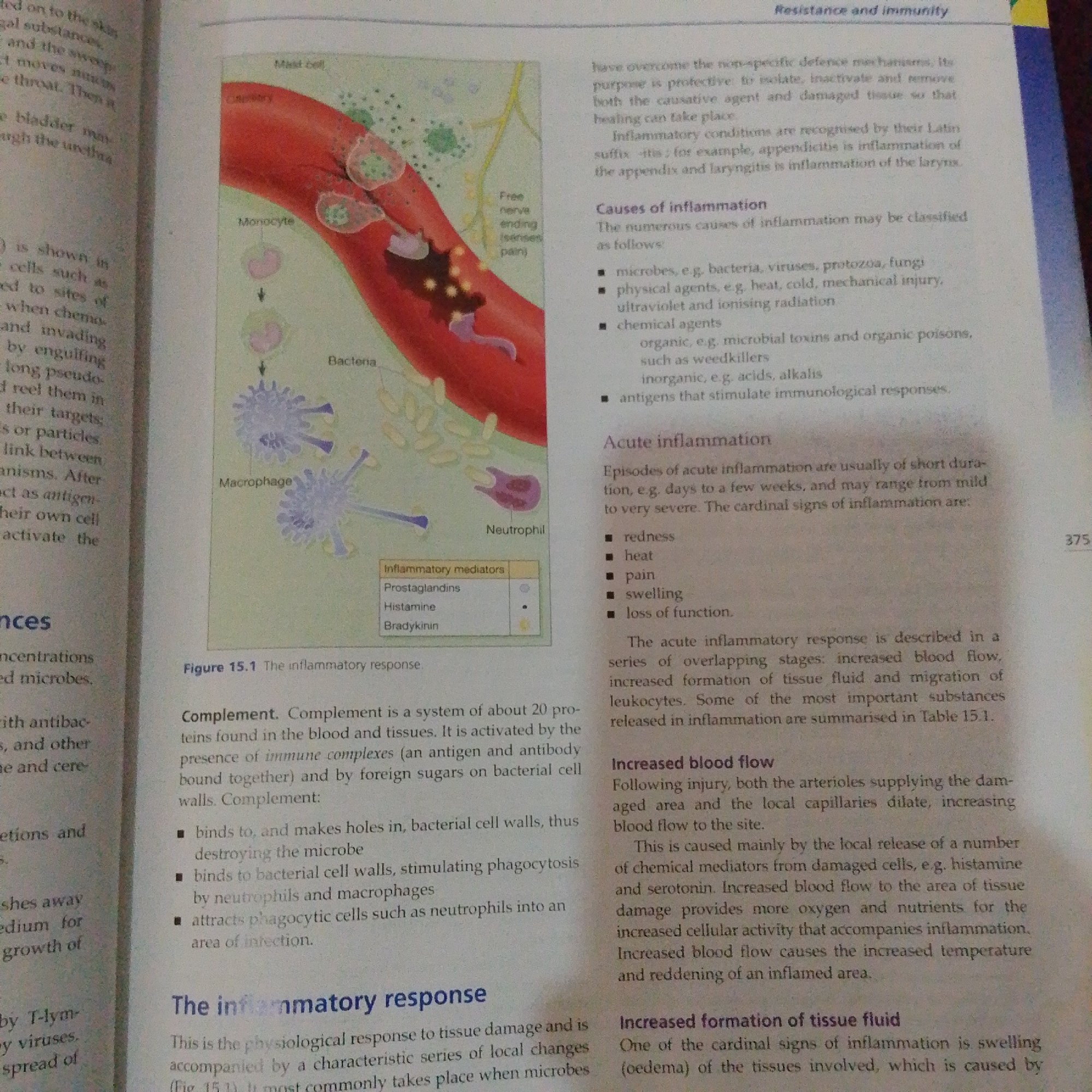 The image shows a page from a biology textbook discussing inflammation. On the right side of the page, there is an illustration depicting immune cells, such as macrophages and neutrophils, interacting with bacteria within a blood vessel. The text explains the causes and acute symptoms of inflammation, listing redness, heat, pain, swelling, and loss of function. It also describes the process of increased blood flow and tissue fluid formation during inflammation. The left side of the page contains further text related to immune responses and the spread of viruses. There is no information within the image that relates to the city of Jalingo, Nigeria.