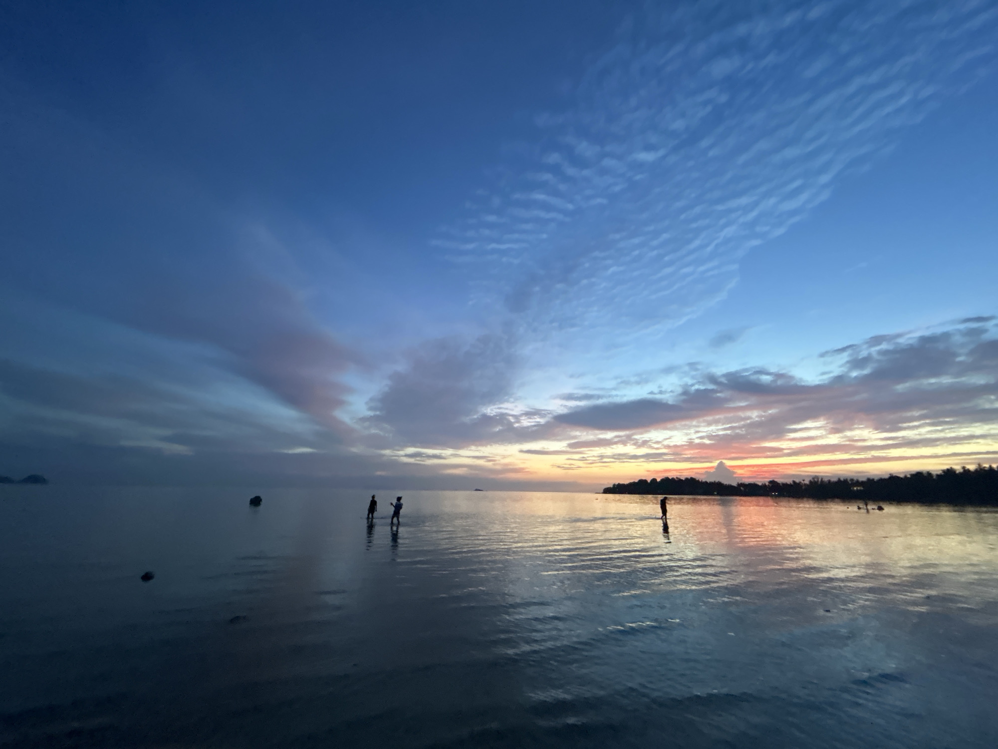 A tranquil scene unfolds at dusk on a tropical beach in Ko Pha-ngan District, Thailand. The sky transitions from a deep, rich blue to hues of pink and orange as the sun dips below the horizon, casting a warm glow on the water. Wispy clouds stretch across the sky, catching the last rays of sunlight. The calm sea reflects the vibrant sky, creating a mirror-like surface broken only by gentle ripples.
Several figures are silhouetted against the water, some wading in the shallow surf, others standing further out. Their forms are indistinct, adding to the serene and slightly mysterious atmosphere. The coastline in the distance is lined with dark silhouettes of trees, suggesting lush vegetation. The overall impression is one of peace and natural beauty, capturing a fleeting moment of twilight on a Thai island.
