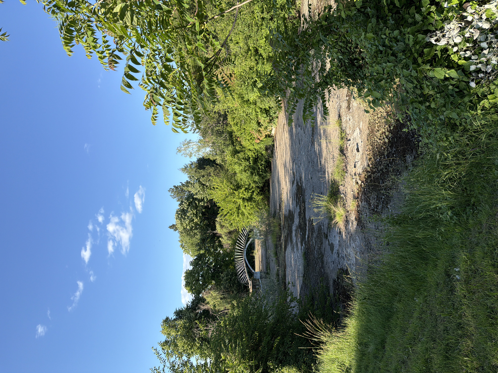 The image displays a tranquil outdoor scene, likely a park or natural pathway in Lovech, Bulgaria, under a bright, clear blue sky. A few scattered white clouds are visible in the upper portion, indicative of fair weather.
The scene is dominated by lush green foliage. Trees and branches with vibrant green leaves frame the top and left sides, extending into a dense background of bushes and more trees. On the right side, tall green grass thrives, illuminated by sunlight.
In the mid-ground, an uneven, stony path or cleared ground area stretches into the distance. Shadows cast across this path and the surrounding foliage suggest it is either mid-morning or late afternoon, with the sun shining brightly.
A distinctive white, semi-circular structure stands further along the path, partially obscured by the surrounding greenery. This object, composed of numerous vertical slats, appears to be a decorative archway, a unique bench, or an art installation, adding a striking man-made element to the natural setting.
No people are visible, and no specific activity is taking place, contributing to a peaceful and serene ambiance. There is no visible text in the image.