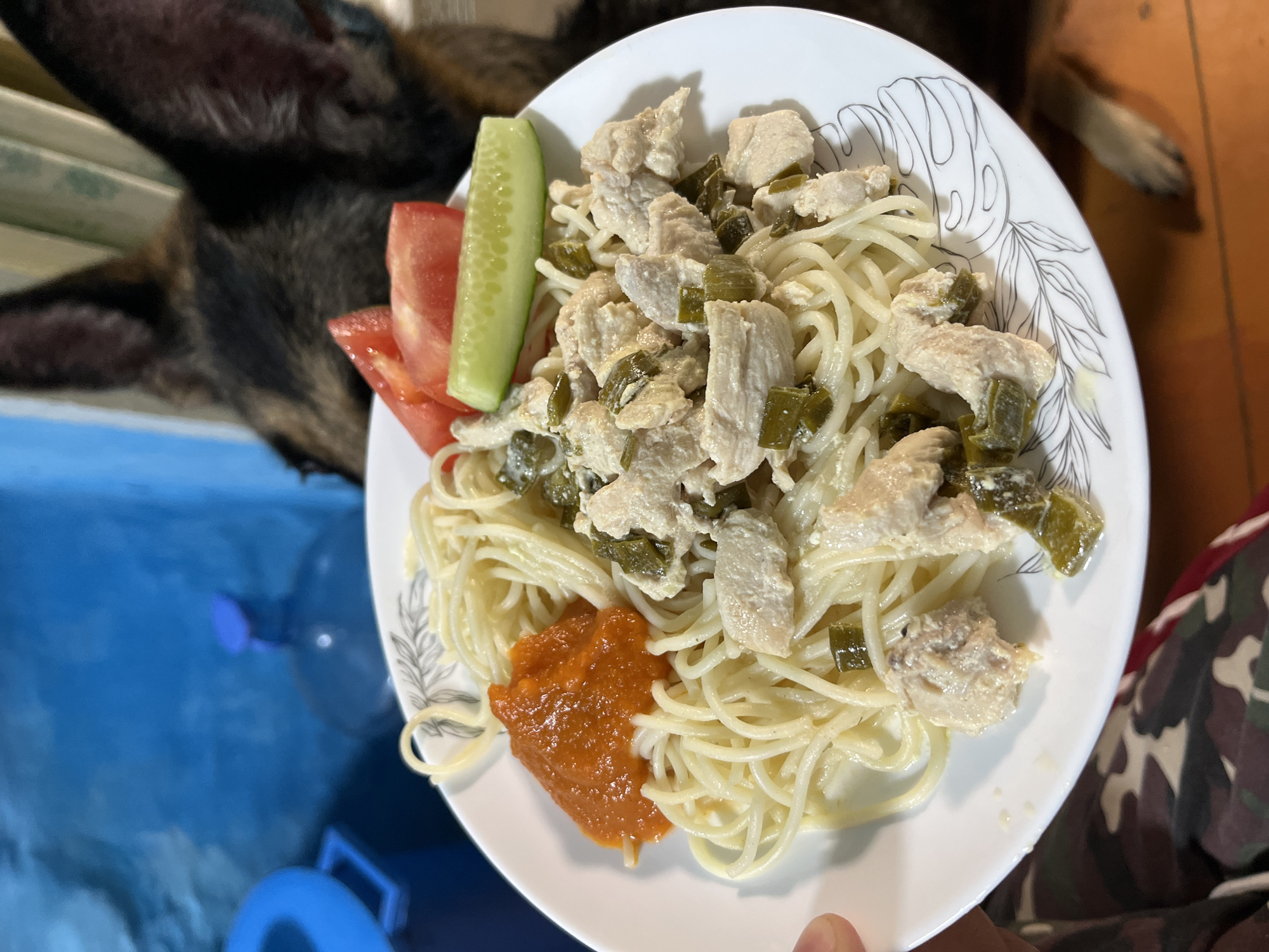 A close-up shot shows a white plate of spaghetti with chicken and vegetables, accompanied by tomato and cucumber slices. A dollop of orange sauce is visible on the side. In the background, a dog's head and ears are visible, along with a blue water dispenser and part of a window curtain. The scene appears to be indoors, possibly in a residential setting. There is no discernible information in the image that would suggest a specific location in Nizhny Tagil, Russia.