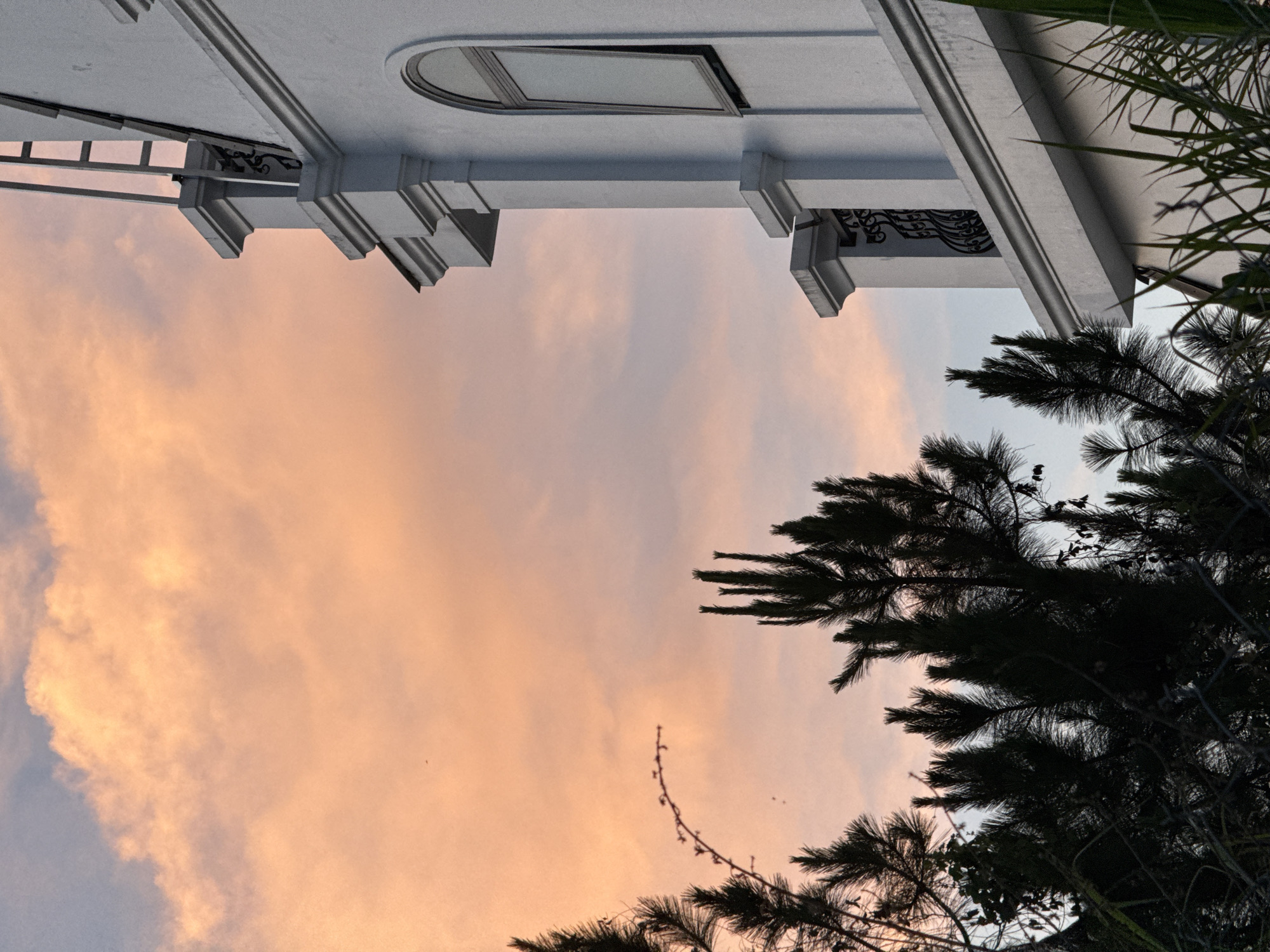 Captured at a low angle, the image presents a building and sky scene. The top portion of the frame shows a white building facade with architectural elements, including columns and a window. To the right, plant life is visible, possibly overgrown grass or shrubbery. The lower two-thirds of the image captures a sunset or sunrise sky with clouds tinted in shades of orange and pink. In the bottom-right corner, silhouetted tree branches are present. The specific location is Lâm Viên - Đà Lạt, Vietnam.