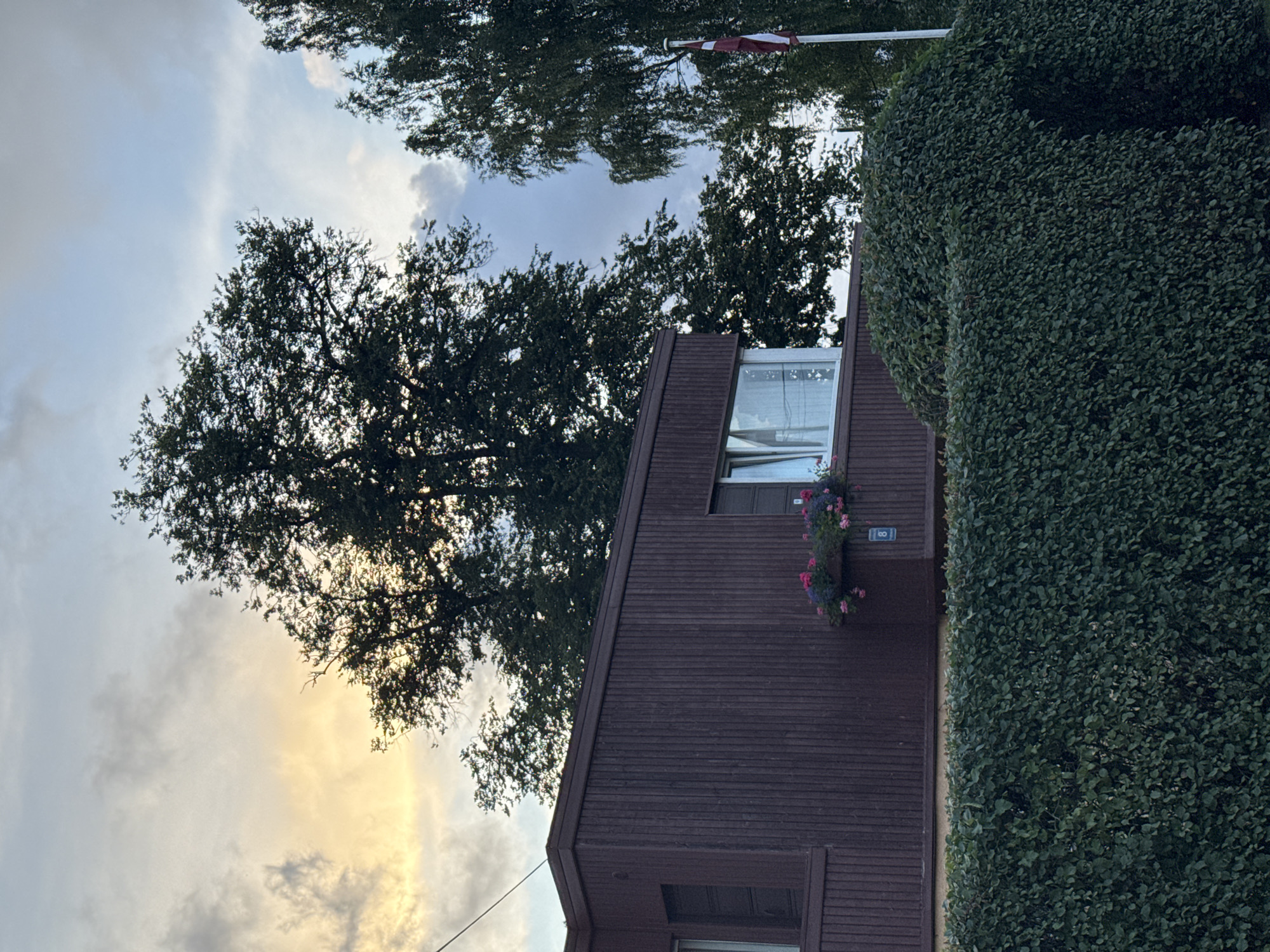 The image shows a dark brown wooden house with a large, dark green hedge in the foreground. The house has a large window with white curtains and a planter box with pink and purple flowers above it. A Danish flag on a flagpole is visible to the right of the house, partially obscured by trees. The sky is cloudy with some patches of yellow light suggesting sunset. The scene is a residential area in Carnikava, Latvia.