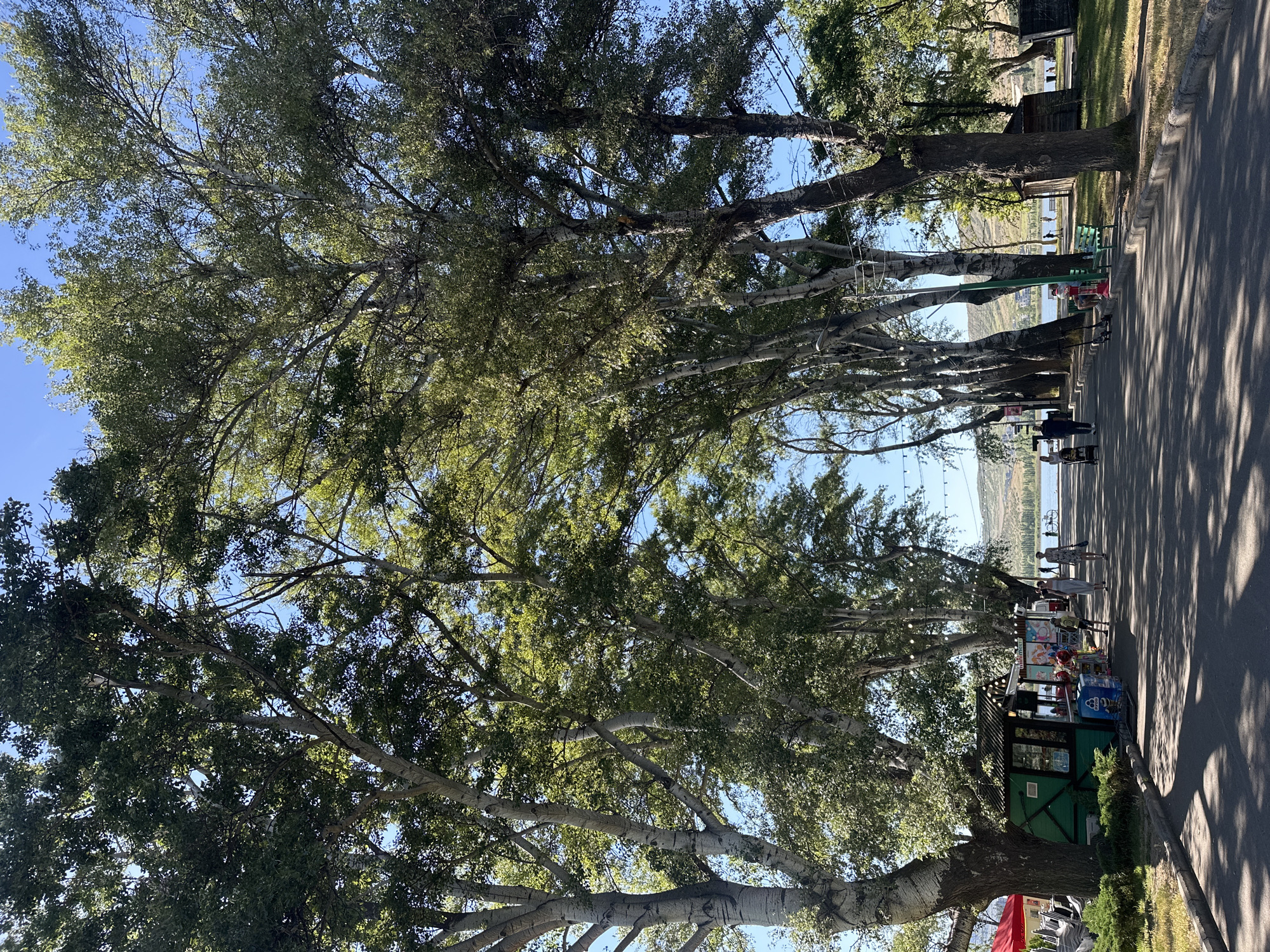 The image depicts a sunlit promenade lined with tall trees, likely in Tbilisi, Georgia, given the style of the kiosks and the architecture. The promenade runs alongside a body of water, possibly a lake or a reservoir, with hills in the background. Several people are walking along the path, some pushing strollers or riding bicycles. Small kiosks are set up along the side of the promenade, selling refreshments and souvenirs. The overall atmosphere is one of a leisure park or recreational area.