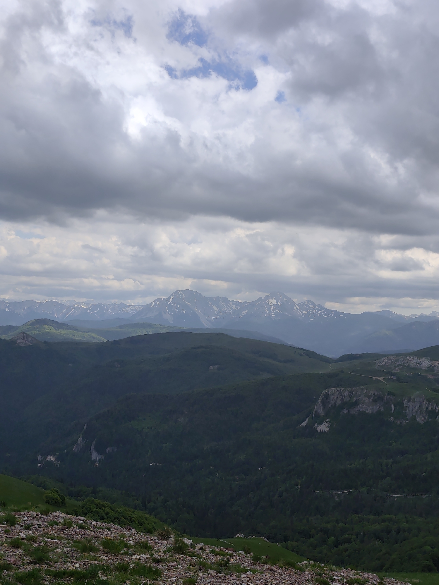The image presents a panoramic mountainous landscape in Sedlačka gora, Montenegro, under a predominantly overcast sky. The sky occupies the upper approximately one-third of the frame, filled with dense, textured grey clouds, with small, fragmented patches of lighter blue visible.
The mid-ground features multiple layers of rolling hills and valleys. The nearest hills are covered in a dark, dense forest of evergreen trees. Within this forested area, several grey rocky cliffs and outcrops are visible, particularly on the right side. Faint light-colored lines, consistent with unpaved roads or tracks, snake through the forested terrain. Above these immediate hills, layers of lighter green, possibly grasslands or less densely forested slopes, recede into the distance.
The background is dominated by a long, rugged mountain range stretching across the horizon. These distant peaks are distinctly snow-capped, with white snow visible on their upper slopes against a dark, rocky mass. Atmospheric perspective renders these mountains in muted blue-grey tones.
The immediate foreground, covering the bottom approximately 15-20% of the image, consists of uneven, rocky ground with scattered small stones and sparse clumps of green grass. No human figures, animals, or significant man-made structures are present within the scene. The lighting is diffused, indicating an overcast or heavily cloudy day, with soft shadows and consistent ambient light across the landscape.