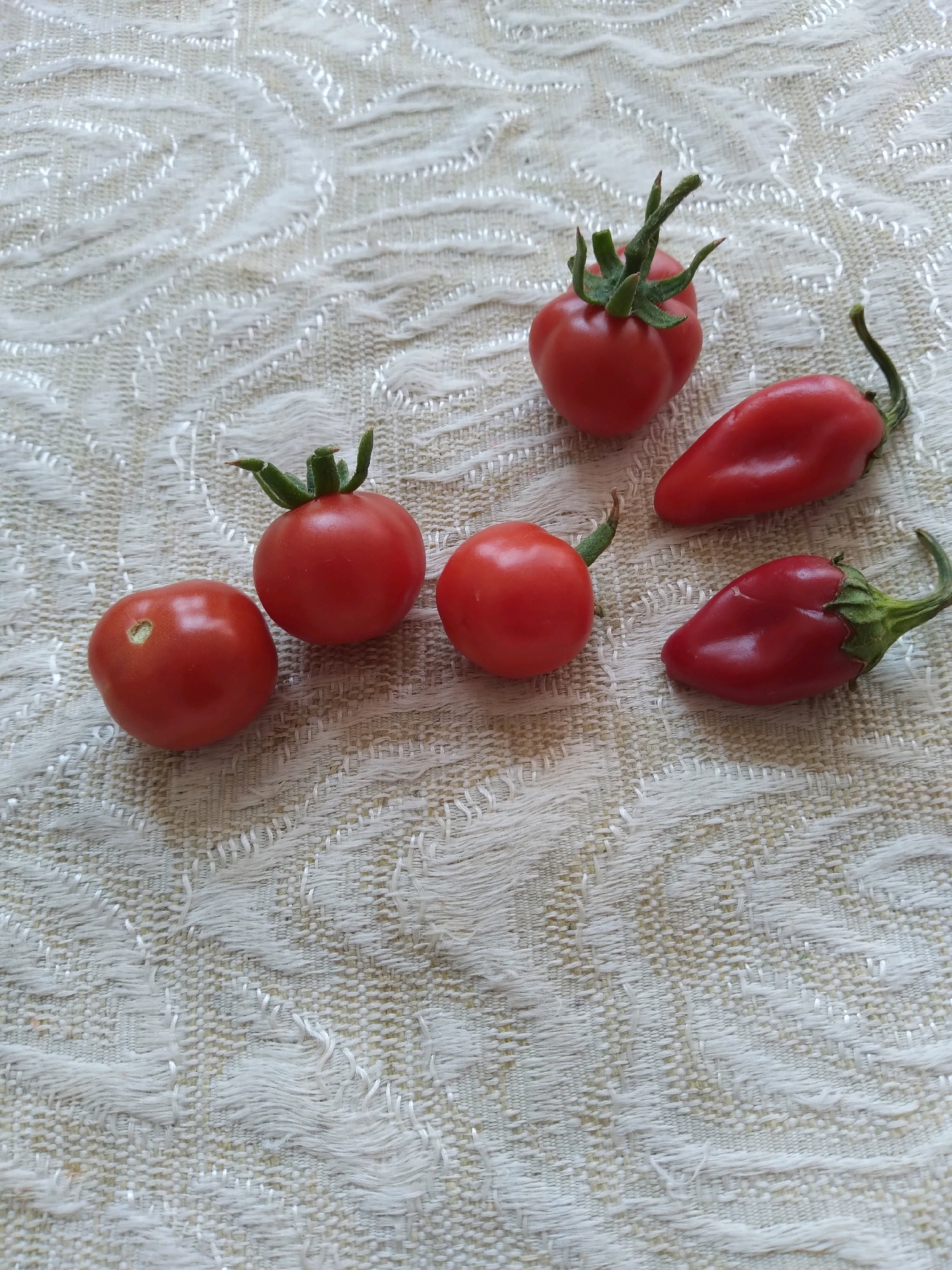 A flat lay image shows a collection of fresh produce, specifically four ripe cherry tomatoes and two red chili peppers, arranged on a textured, light-colored fabric. The tomatoes are spherical and bright red, with some still attached to their green stems and calyxes. The chili peppers are elongated and a deeper shade of red, with slender green stems curving upwards. The fabric beneath the produce has a woven pattern with raised, frayed threads creating a textured, slightly rustic appearance. The lighting is natural, casting soft shadows and highlighting the glossy surfaces of the vegetables. The composition is simple and focused on the vibrant colors and natural shapes of the ingredients. There is no information available about the location in the city of Baku, Uzbekistan.