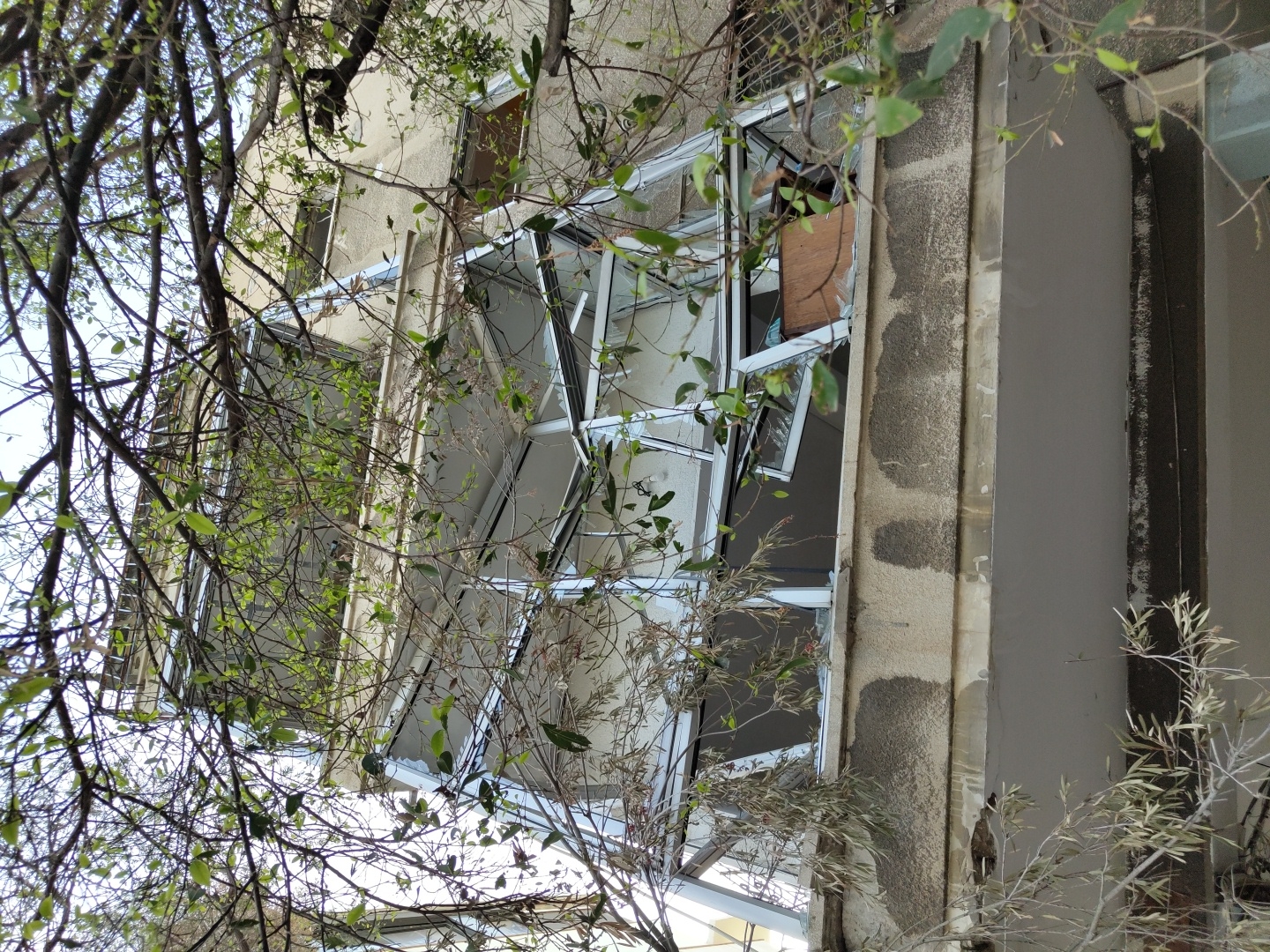 The image shows the exterior of a dilapidated building in Tel-Aviv, Israel. The building is constructed from concrete, and features a large, multi-paned window with shattered glass. The window frame is made of metal. Overgrown trees and foliage obscure much of the building's facade. The overall scene suggests decay and abandonment.