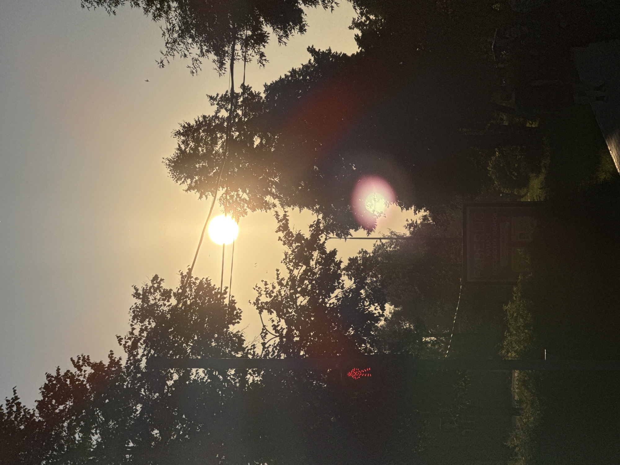 The image captures a sunset in an urban environment, likely a park or a street with trees. The sun, a bright orb, is low in the sky, casting a warm, golden light that creates lens flares. Silhouetted against the bright sky are the dark shapes of mature trees with dense foliage. Power lines are visible stretching across the scene, a common urban element. On the left side of the image, a traffic signal displays a red pedestrian crossing sign, indicating a stop for pedestrians. Further into the background, a sign is partially visible, suggesting commercial activity or information. The overall atmosphere is serene, with the fading light of day softening the urban landscape.