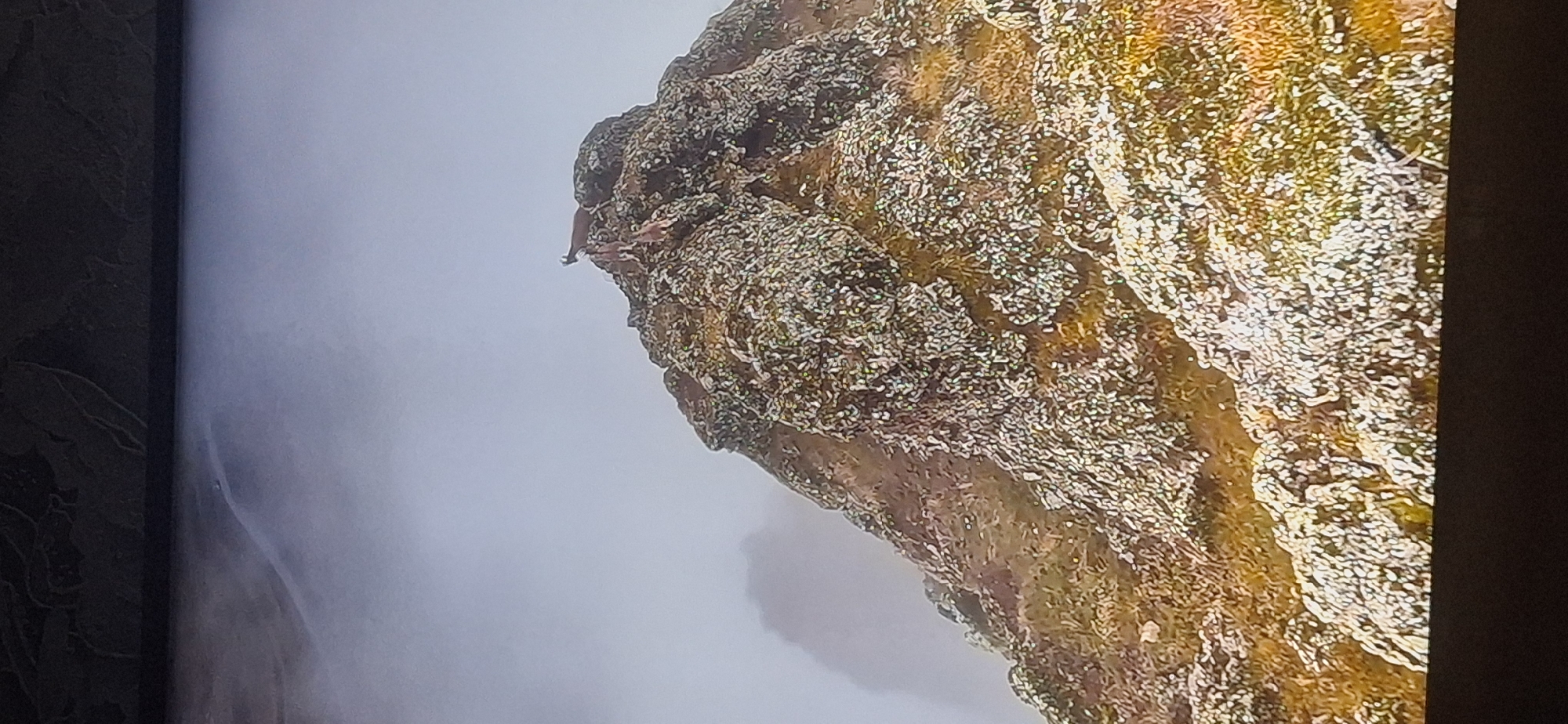 The image shows a rocky mountain peak with two chamois standing on it. The chamois are small, agile mountain goats with short, backward-curving horns. One chamois is standing on a higher point, while the other is slightly below it. The mountain peak is covered in sparse vegetation and appears to be in a foggy or cloudy environment, with the sky being a pale gray. The foreground shows more of the rocky terrain with patches of dry grass and white lichen or snow. There is no indication of urban environments, structures, or people in the image. It is not possible to determine any specific location in the city of Bila Tserkva, Ukraine, from this image.