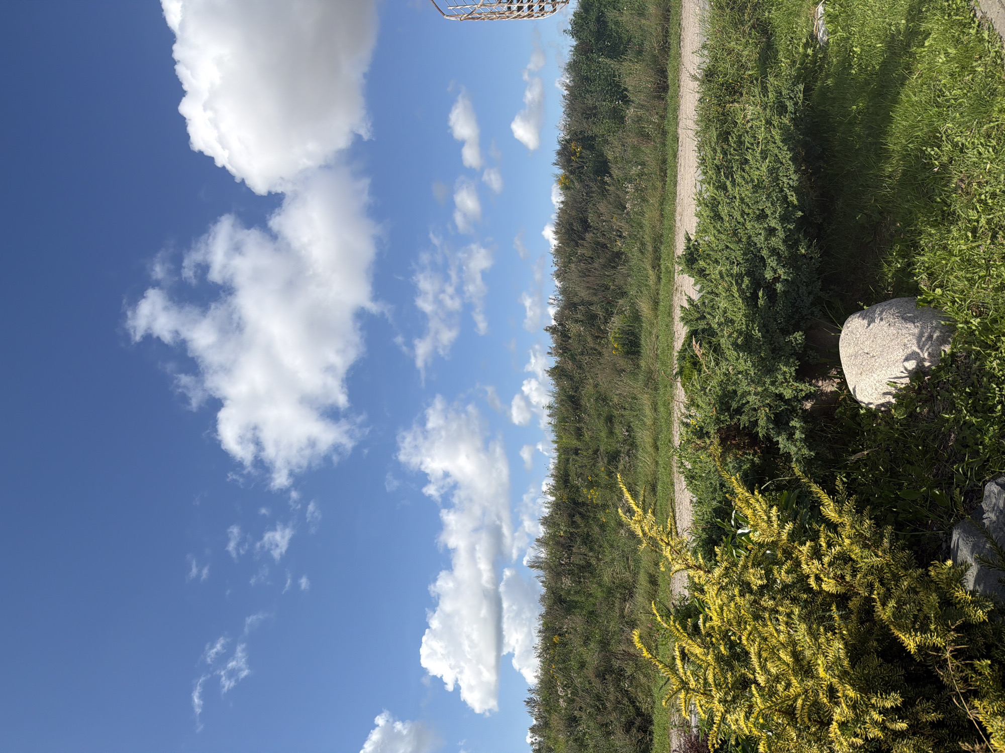 This is an outdoor, eye-level, medium shot image taken on a sunny day. The scene depicts a rural landscape with a bright blue sky filled with scattered white clouds. A gently sloping hill covered in dense green foliage, interspersed with some yellow wildflowers, dominates the middle ground. A light-colored dirt path runs horizontally across the hillside. In the foreground, there are two bushes, one vibrant yellow and the other a deep green. A large, light-colored rock rests on the grass near the bushes. To the right side of the image, a portion of a spiral staircase structure is visible. The location is identified as Konstantinovka, Russia. There are no people or animals present in the image, and no actions or interactions are depicted. The environment is natural and appears to be in a state of growth and abundance.