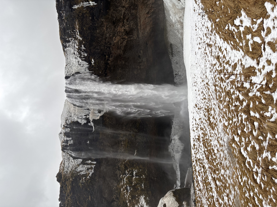 The image depicts Seljalandsfoss waterfall, located in the city of Unknown, Unknown, Iceland. A substantial volume of water cascades vertically from a high, rugged cliff face under an overcast, light gray sky. The top edge and upper portions of the dark brown and black volcanic rock cliff are heavily encrusted with extensive white ice formations and numerous large icicles, interspersed with patches of snow and sparse dark vegetation. The waterfall plunges into a misty basin at its base, where significant mounds of accumulated snow and ice are present. In the foreground, a field of dormant, light brown and tan grassy vegetation is partially covered by irregular patches of white snow. A narrow, darker path or depression is visible winding through this snowy, grassy terrain towards the waterfall. Two tiny, indistinct, dark vertical shapes, possibly human figures, are discernible at the base of the main waterfall plume, providing a sense of scale. The environment indicates cold, sub-freezing temperatures.