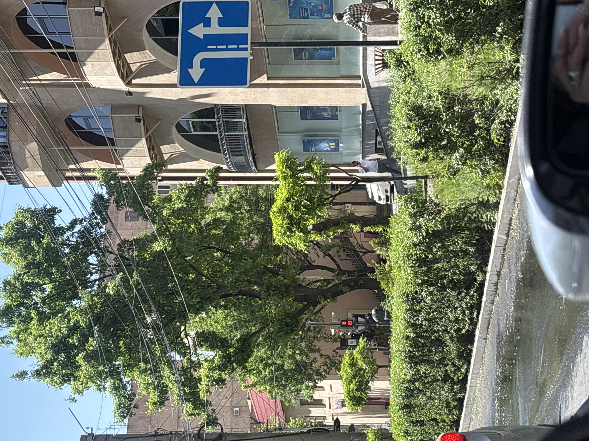 The image is taken from a vehicle on a street in Yerevan, Armenia.
**Environment:** Sunny day. Street with adjacent buildings, sidewalks, and green foliage.
**Objects:** Blue road sign indicating lanes curving left and proceeding straight. Power lines visible. Traffic light in the distance showing a red signal. Buildings with arched windows and balconies. Bushes and a tree.
**People:** Pedestrians visible on the sidewalk. One person wearing a checkered shirt. Another person wearing white.