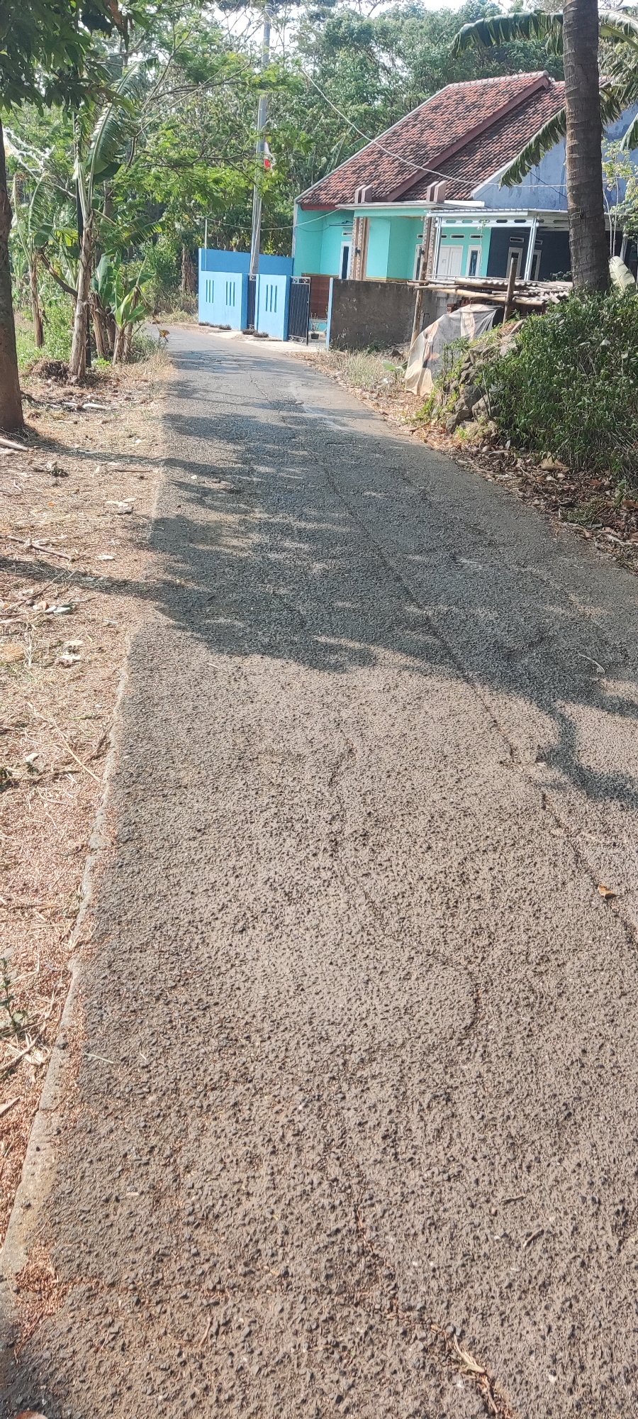 The image depicts a paved road in a rural or suburban area, likely in Putat, Indonesia, based on the context provided. The road is lined with trees and vegetation on both sides. In the background, there is a light blue house with a reddish-brown tiled roof. Adjacent to the house is a bright blue fence with vertical slats, and a dark metal gate. A flagpole stands to the left of the fence, with a small flag visible at the top. The road surface is asphalt and appears somewhat worn, with some debris and fallen leaves scattered along the edges. Shadows from trees are cast across the road, indicating it is daytime. The overall scene suggests a quiet, residential setting in a tropical or subtropical climate. There are no people visible in the image.