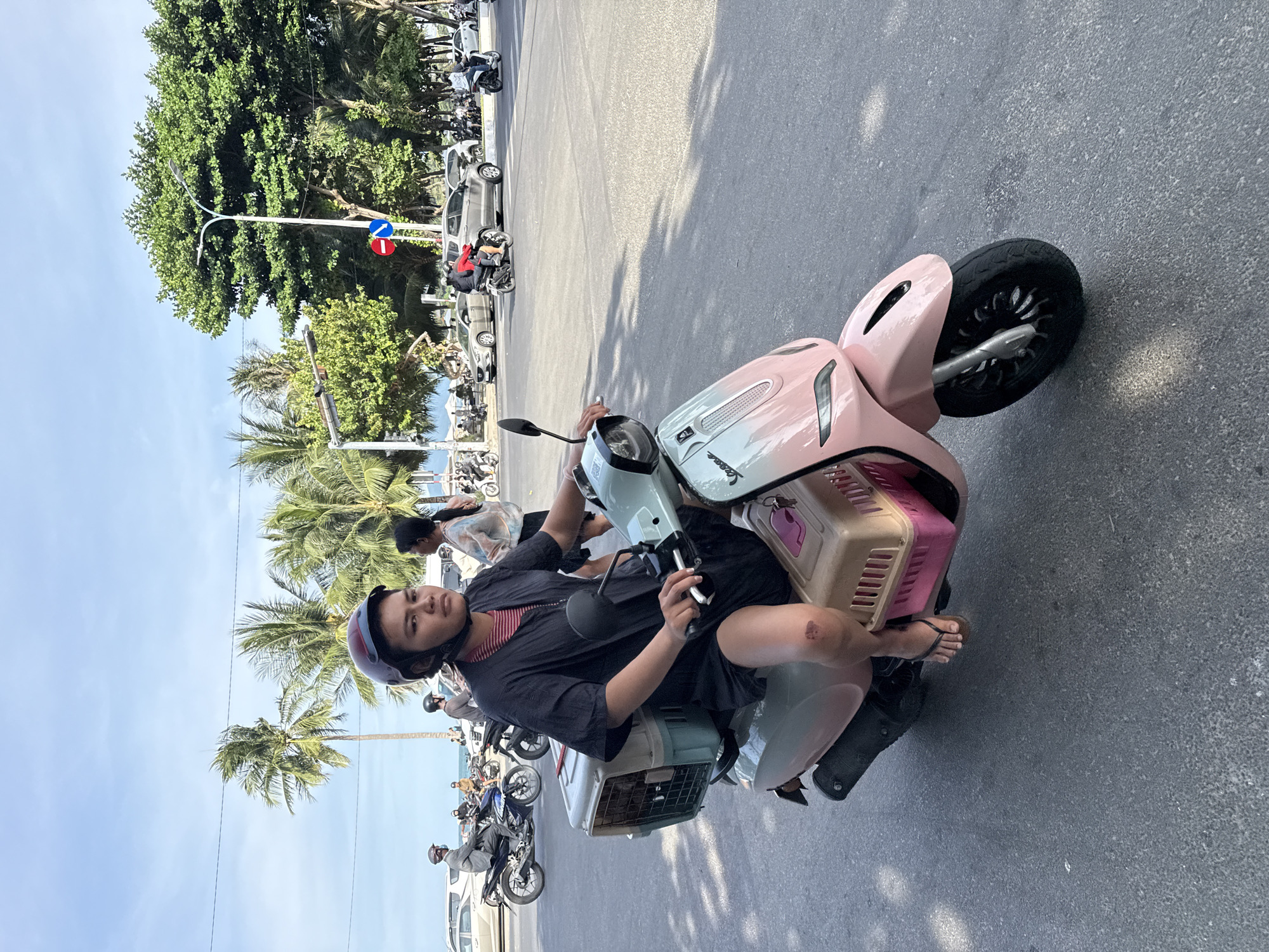 A person wearing a red and black helmet and a dark t-shirt rides a pink and light blue Vespa scooter. The person has a visible wound on their right knee and is wearing flip-flops. A brown and blue pet carrier is attached to the back of the scooter. The scooter is on a paved road in a city with palm trees and other vegetation visible in the background. Other vehicles, including motorcycles and cars, are on the road and sidewalk. The sky is clear and blue. The scene appears to be in a coastal city, possibly in Vietnam, given the presence of palm trees and the style of scooters.