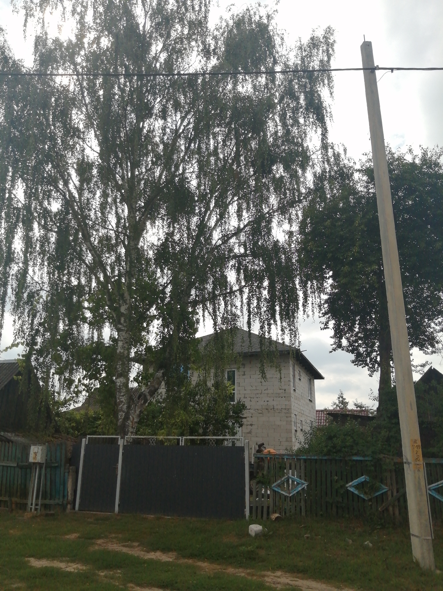 The image shows a rural scene in Slonim, Belarus. The primary focus is a large birch tree with drooping branches in the foreground, partially obscuring a two-story building constructed of white brick. A dark-colored fence with metal posts runs horizontally across the midground, with a gate in the center. To the right of the fence, a wooden pole with inscriptions and a wire running from it stands vertically. The sky is overcast. The ground in the foreground is covered with grass and dirt. The overall impression is one of a weathered, perhaps rural or semi-rural residential area.
