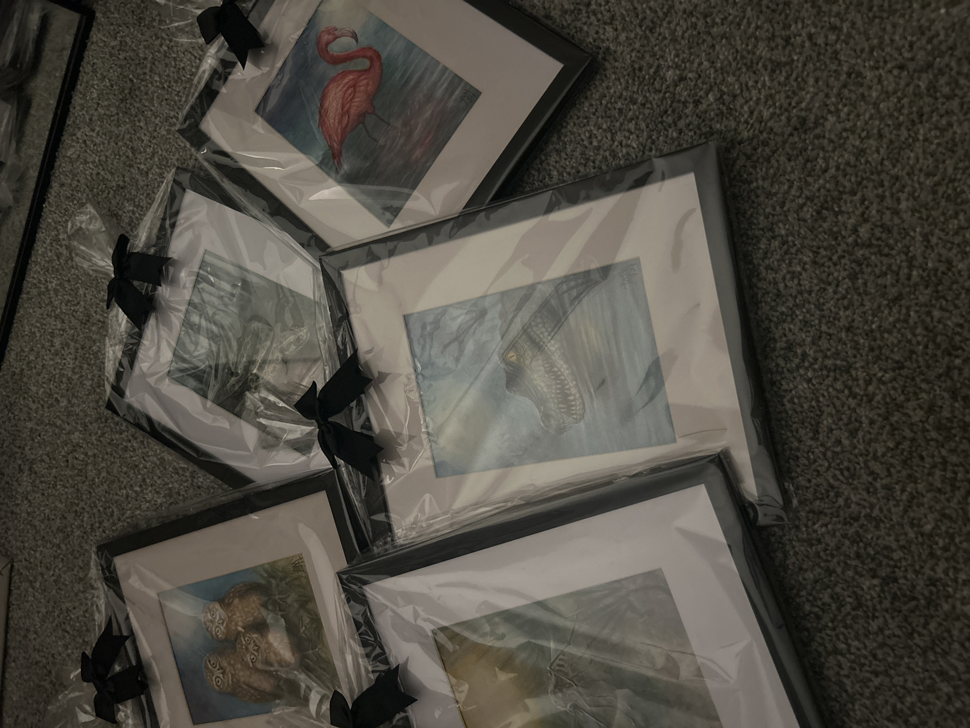 The image shows five framed prints wrapped in clear plastic with black ribbon tied around them. The prints appear to depict a flamingo, a scene with trees, an alligator, an owl, and a swamp scene. The prints are arranged on a dark gray carpet. The location is unknown, as the image does not provide enough information to determine if it's in Cape Coral, United States of America, or anywhere else. No people are visible in the image.