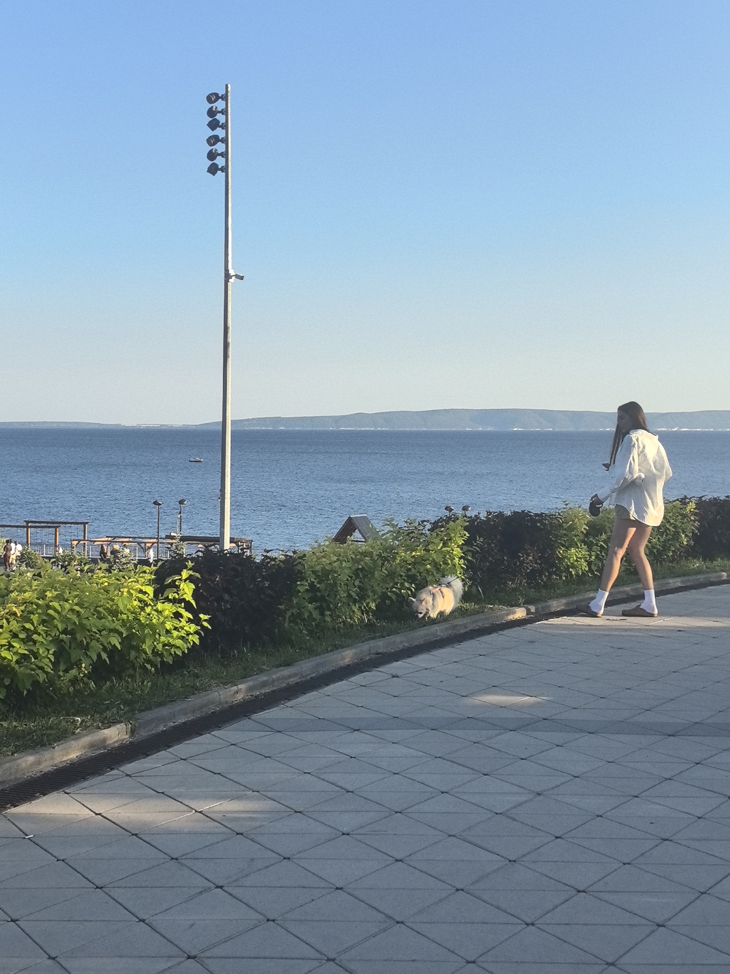 An outdoor, eye-level, full shot captures a woman walking her dog along a paved walkway beside a body of water. The sky is clear and blue. A tall lamp post with six lights stands to the left of the frame. In the background, the calm blue water stretches to the horizon, with distant hills visible. Green bushes line the walkway, separating it from the water. The woman, wearing a white shirt and shorts, is in mid-stride, holding a leash attached to a small, light-colored dog. The dog is looking down at the ground. The walkway is made of grey diamond-shaped pavers. The overall scene appears to be a park or promenade. This location is likely Tolyatti, Russia, given the context.
