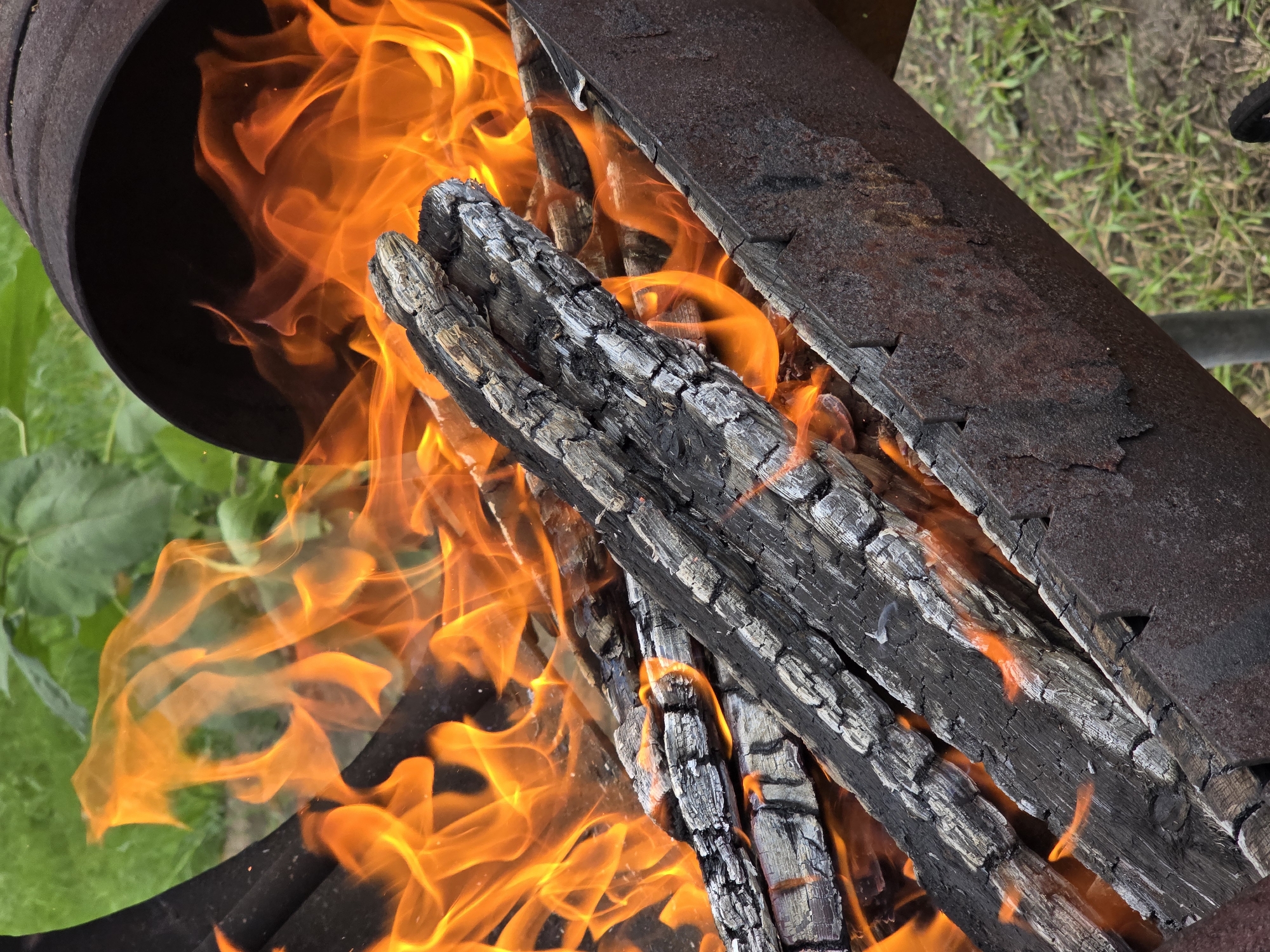 The image shows a close-up view of a fire burning in a rusty metal brazier. Several pieces of charred wood are visible, some with glowing embers, and bright orange flames are licking upwards. The background consists of green grass and foliage, suggesting an outdoor setting. The scene is likely located in Ермолаево, Russia, given the prompt, and appears to be a typical outdoor fire pit or barbecue setup. There are no people or animals present in the image, and the focus is solely on the fire and its immediate surroundings. The lighting is dominated by the intense glow of the flames.