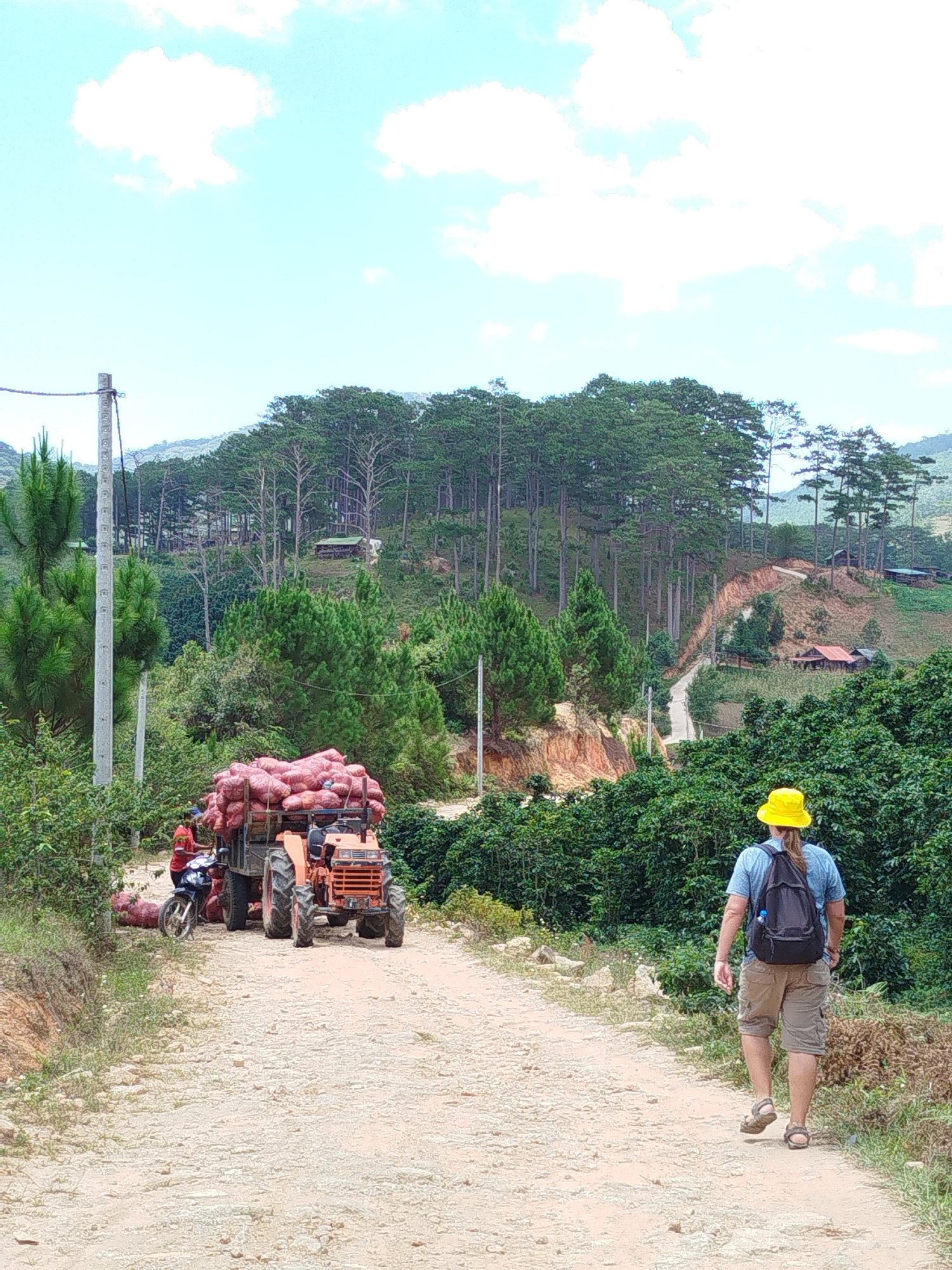 In the city of Lac Duong, Vietnam, a tractor is loaded with large sacks of what appear to be harvested produce, possibly red onions or potatoes, and is moving along a dirt road. A motorcycle with two individuals is positioned beside the tractor, also appearing to be involved in the harvest or transportation. In the foreground, a person wearing a yellow hat, a blue t-shirt, and khaki shorts with a backpack is walking away from the camera, heading down the dirt road. The background features lush green vegetation, including pine trees and bushes, with hills and some scattered houses visible further up the slope. The sky is bright with scattered white clouds.