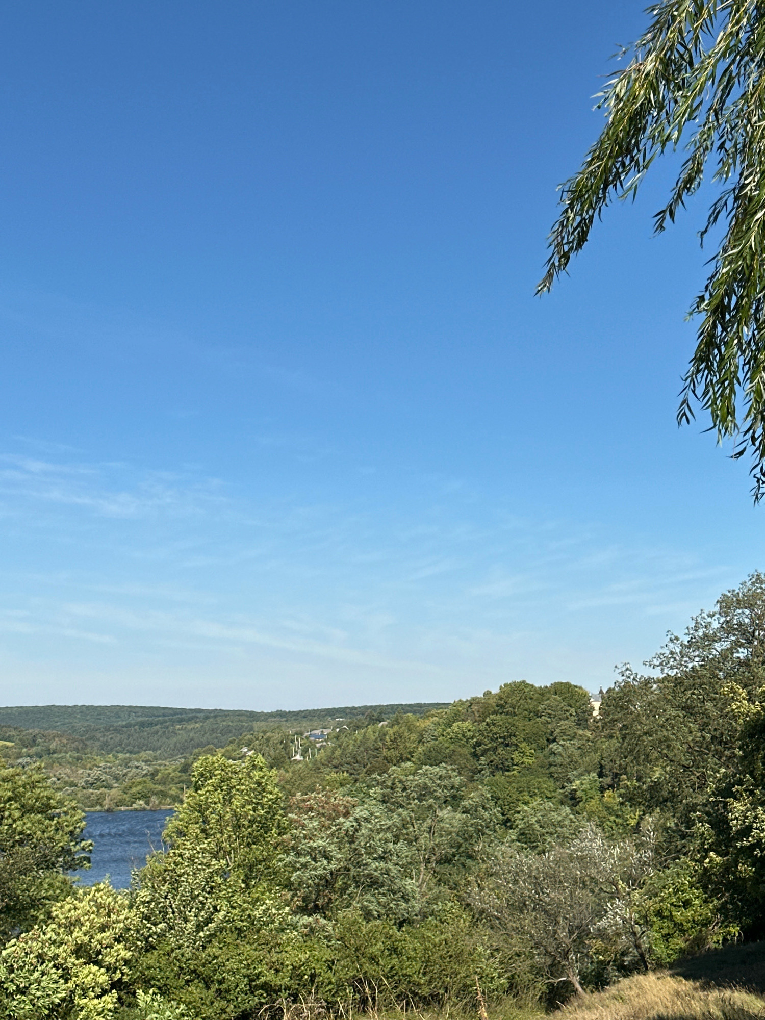 The image depicts a scenic landscape with a clear blue sky and lush green vegetation. In the foreground, the branches of a weeping willow tree hang down from the top right corner, their long, slender leaves silhouetted against the sky. Below the sky, a tranquil blue body of water, likely a river or lake, is visible in the mid-ground. The banks of the water are densely covered with a variety of trees and bushes in various shades of green, creating a rich and textured natural environment. In the distance, rolling hills are covered in a dense forest, and a few buildings with light-colored roofs can be seen nestled among the trees. The overall impression is one of a peaceful, natural setting. The scene is consistent with the rural landscape found in and around Makiv, Ukraine, known for its picturesque natural beauty. There are no people or animals visible in the image.