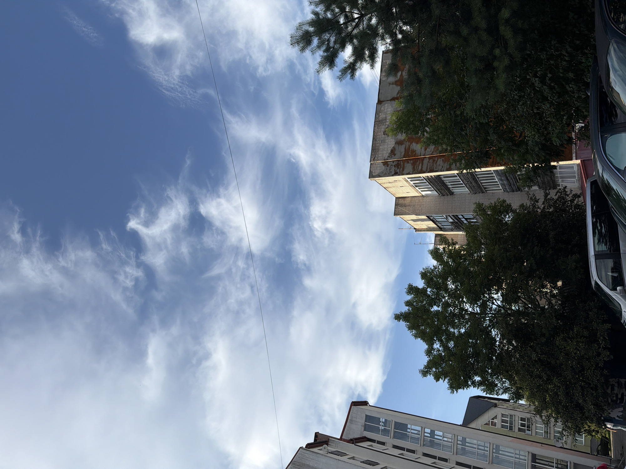 The image captures a low-angle view of buildings and trees against a bright blue sky with wispy white clouds. On the left, a modern building with a white facade and numerous windows is partially visible, leaning into the frame. To the right of it, a cluster of older, brick buildings with multiple stories and visible windows are present. Some of these buildings show signs of wear, with discolored facades. Dense green trees are interspersed between and in front of the buildings, obscuring some of the lower portions of the structures. A black wire stretches across the upper portion of the sky. The scene appears to be an urban environment, possibly a residential area in Kaliningrad, Russia, given the architectural style and general atmosphere. There are no distinct actions or interactions depicted, and the focus is on the static elements of the cityscape.