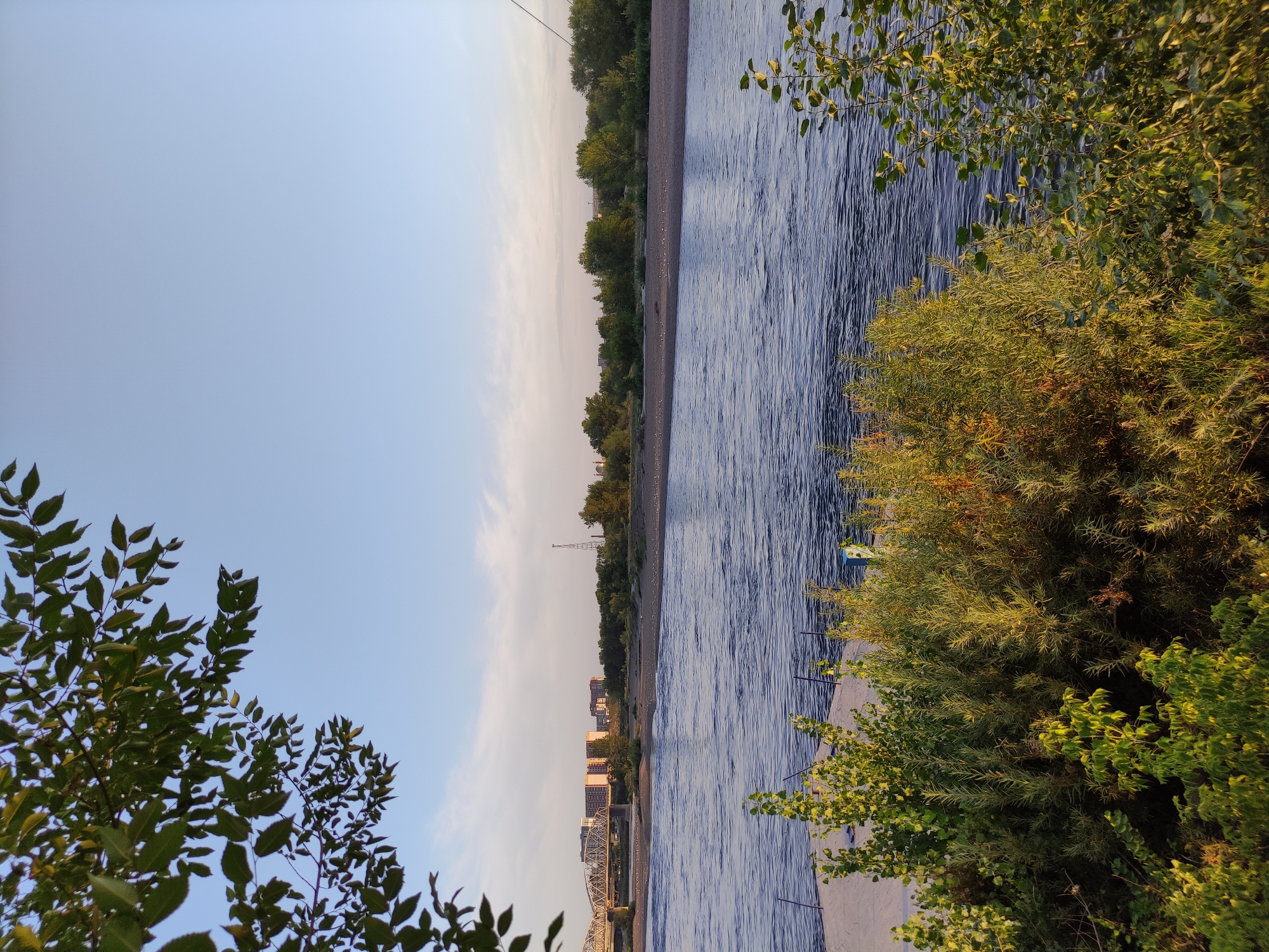 The image depicts a serene riverside scene. In the foreground, lush green foliage and bushes are illuminated by the warm glow of what appears to be late afternoon or early morning sunlight. A concrete structure, possibly a dock or pier, is partially visible to the left, leading towards the water.
The main body of the image is dominated by a wide, calm river with ripples reflecting the clear blue sky. The river flows from left to right across the frame.
In the middle ground, a sandy riverbank is visible, populated by numerous small birds. Beyond the riverbank, a line of trees forms a dense green barrier, separating the water from the urban landscape.
The background reveals a city skyline. A large, multi-span bridge stretches across the river on the left side of the image, leading to buildings and structures. Further to the right, a tall, slender radio tower or communication mast stands out against the sky. The overall impression is one of a peaceful coexistence between nature and urban development. The location is the Irtysh River in Semey, Kazakhstan.