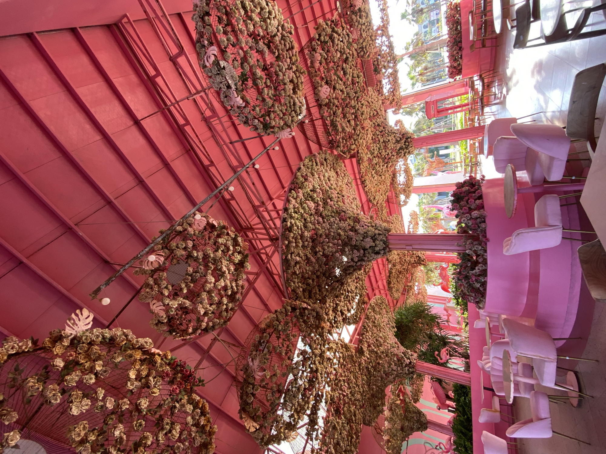 The photograph captures the interior of a brightly lit, predominantly pink cafe, likely located in Tien Thanh Ward, Vietnam. The ceiling is a vibrant pink corrugated metal, supported by pink beams. Several large, circular floral arrangements, made of numerous small pink and beige flowers and some green leaves, are suspended from the ceiling. These arrangements resemble upside-down trees or large chandeliers.
Below, the cafe seating area is also dominated by the color pink. Numerous plush pink velvet chairs with slender gold legs are arranged around small, round tables with pink or marble-patterned tops. Some tables are set with additional chairs. In the background, more seating areas are visible, along with decorative elements. These include pink planters filled with plants and flowers, and on the far left, a pink wall mural or structure depicting flamingos and possibly other tropical birds. Further in the background, through large glass windows, palm trees and a red telephone booth are visible, suggesting an outdoor setting or a view of an outdoor area. The floor appears to be light-colored tile, with sunlight streaming in and creating reflections. There are no people clearly visible in the frame.