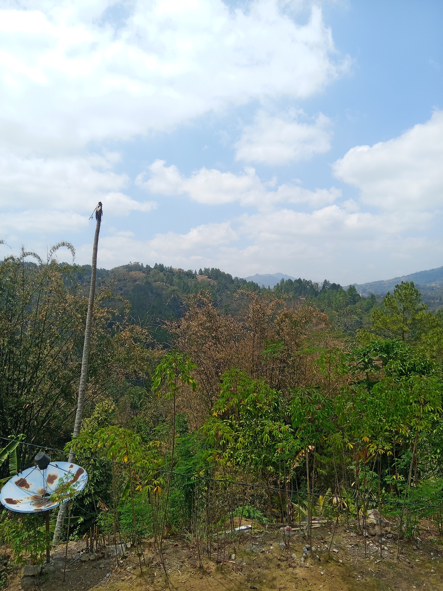 A satellite dish, appearing weathered and rusted, is mounted on a pole in the foreground of a lush, verdant landscape. Beyond the dish, a tall, slender tree trunk rises prominently, topped by what appears to be a bird perched on its summit. The background is a rolling vista of hills covered in dense foliage, interspersed with trees. The sky above is a bright blue, dotted with fluffy white clouds, suggesting a clear and sunny day. The overall scene depicts a rural or semi-rural environment, possibly in a location like Batu Papan, Indonesia, characterized by its natural beauty and the presence of both man-made objects and wildlife.