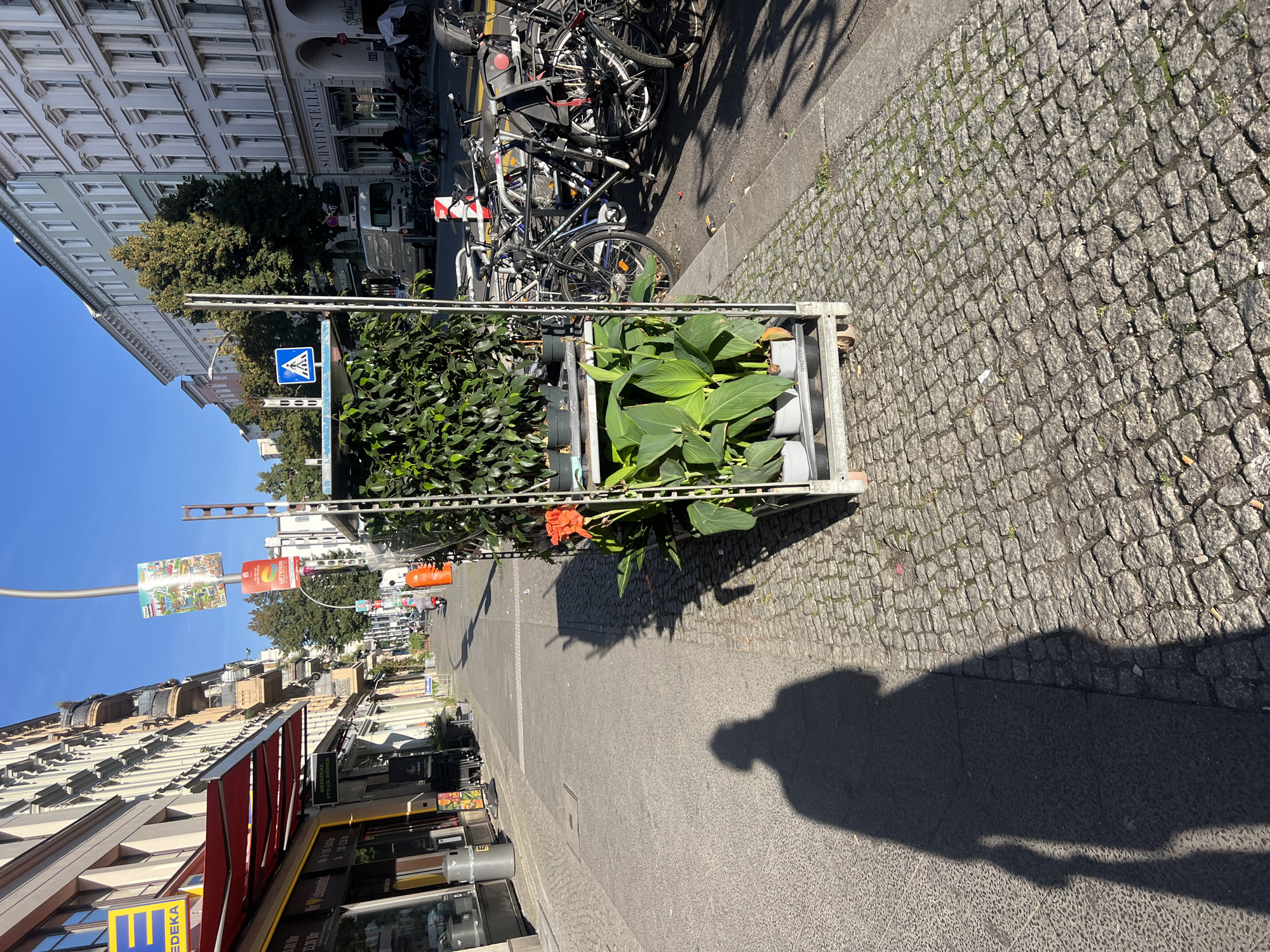 This is a street-level, eye-level, medium shot of a cobblestone sidewalk in Berlin, Germany. In the foreground, a metal cart filled with potted plants stands on the right side of the frame, partially obscuring the view of parked bicycles. The plants are lush and green, with a single bright orange flower on the upper shelf. A shadow of a person holding a bag is cast on the sidewalk to the left. The street continues into the distance, lined with multi-story buildings. A sign with a blue pedestrian crossing symbol is visible above the cart. Bicycles are parked along the street on the right, and a white van is parked in the distance. The sky is clear and blue.