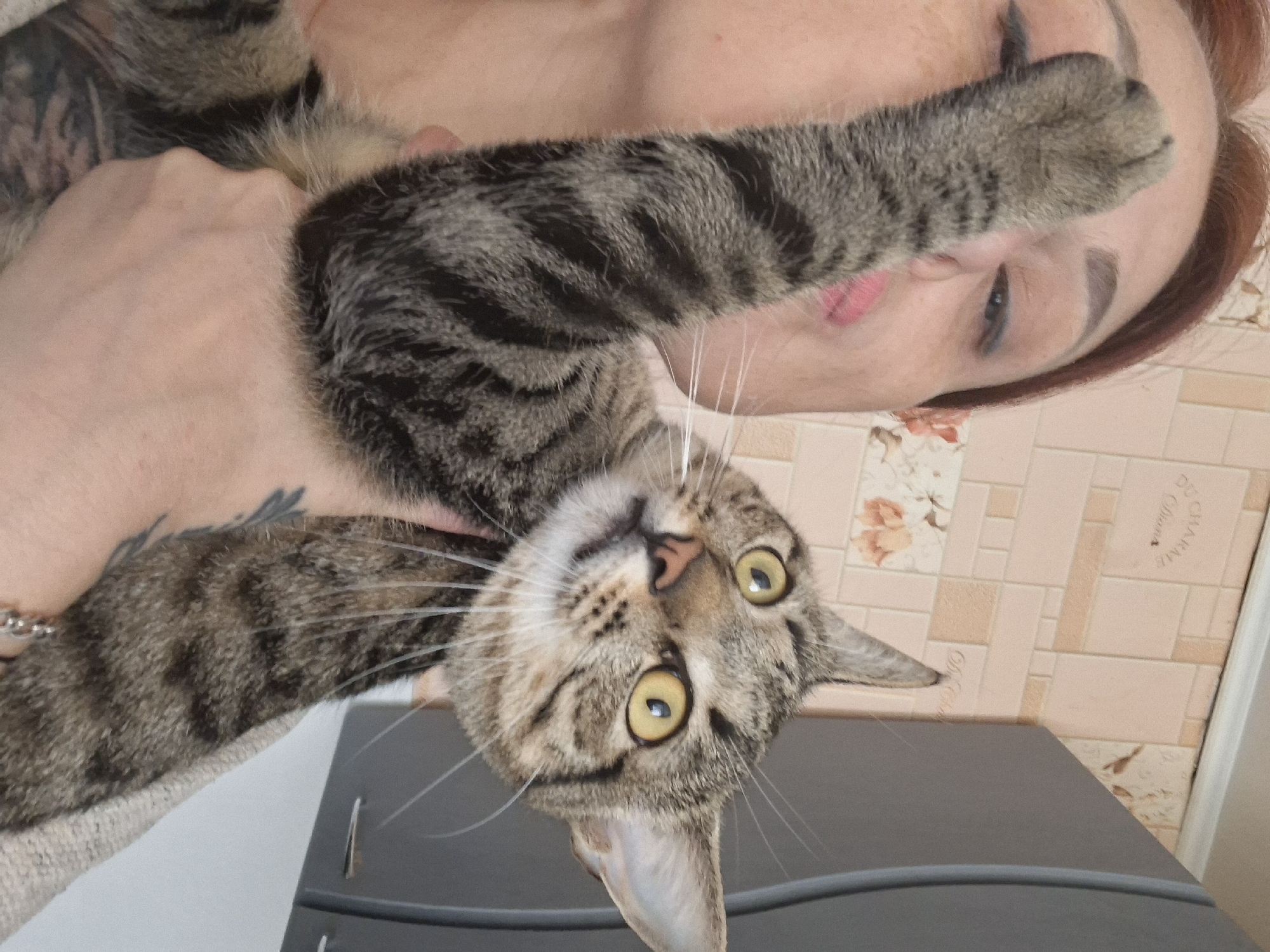 A medium shot shows a woman holding a tabby cat in front of her face. The woman has reddish-brown hair and is wearing a light-colored top. Her left arm is raised, and the cat's paw is touching her face, near her nose and eye. The cat has yellow eyes and is looking upwards and to the right. The background consists of a wall with a tiled pattern and a grey cabinet. The scene appears to be indoors, likely in a home environment. There is no information available to determine the location in the city of Myadzyel, Belarus.