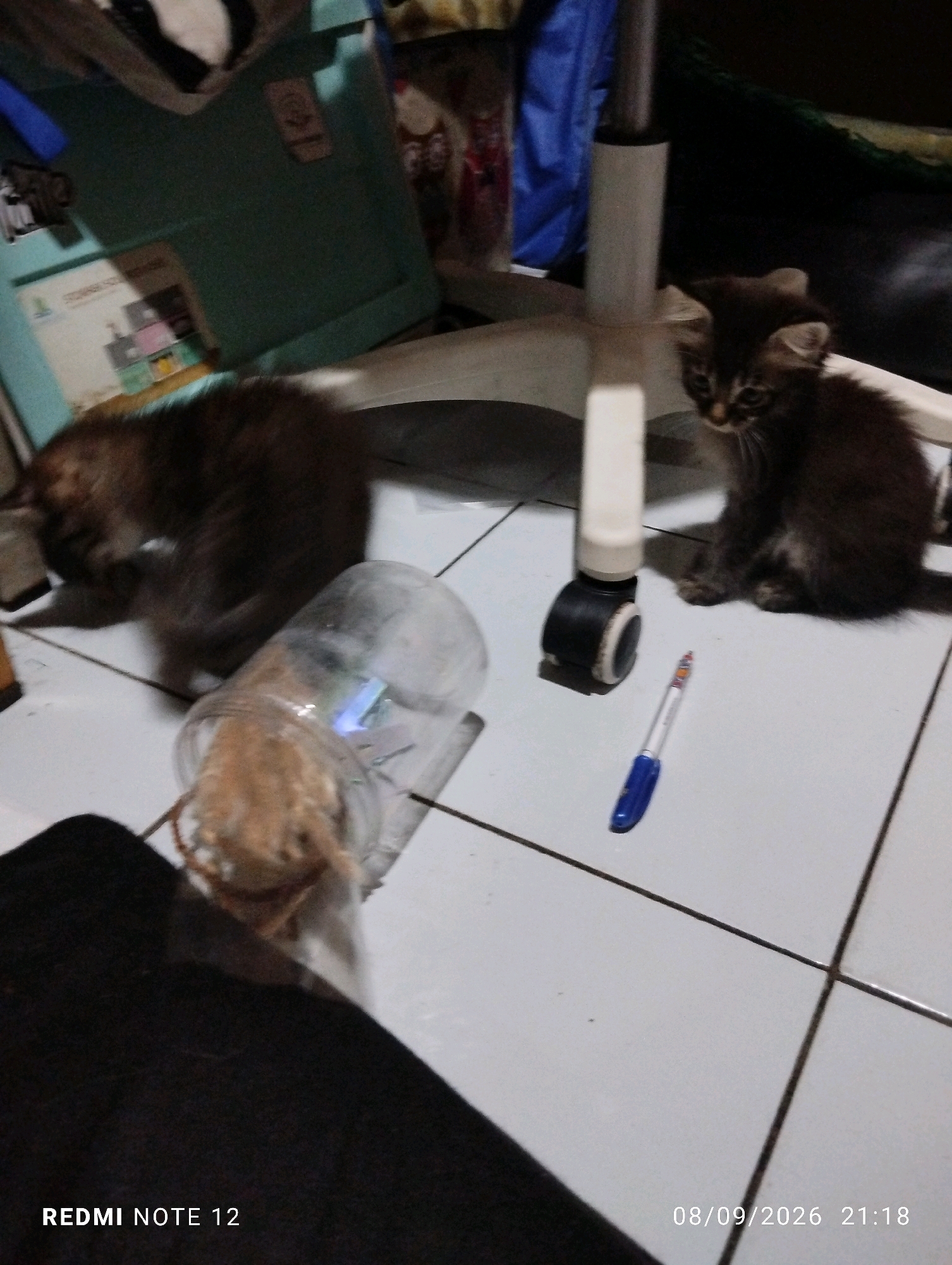 In a dimly lit room, two kittens are present. One kitten, dark brown and gray tabby, sits on a white tiled floor to the right of a rolling office chair. The other kitten, also dark brown and gray tabby, is blurred and appears to be interacting with or near a clear plastic bottle lying on its side on the floor, towards the left of the frame. A blue and silver pen lies on the floor between the kittens and the chair. In the background, a teal storage bin is visible, along with other indistinct household items. The scene is indoors, likely a residential setting. The timestamp "08/09/2026 21:18" and "REDMI NOTE 12" are visible in the lower right and left corners respectively, suggesting the image was taken with a Redmi Note 12 smartphone on September 8, 2026, at 9:18 PM. The location of Bekasi, Indonesia, is not discernible from the visual evidence in the image itself.