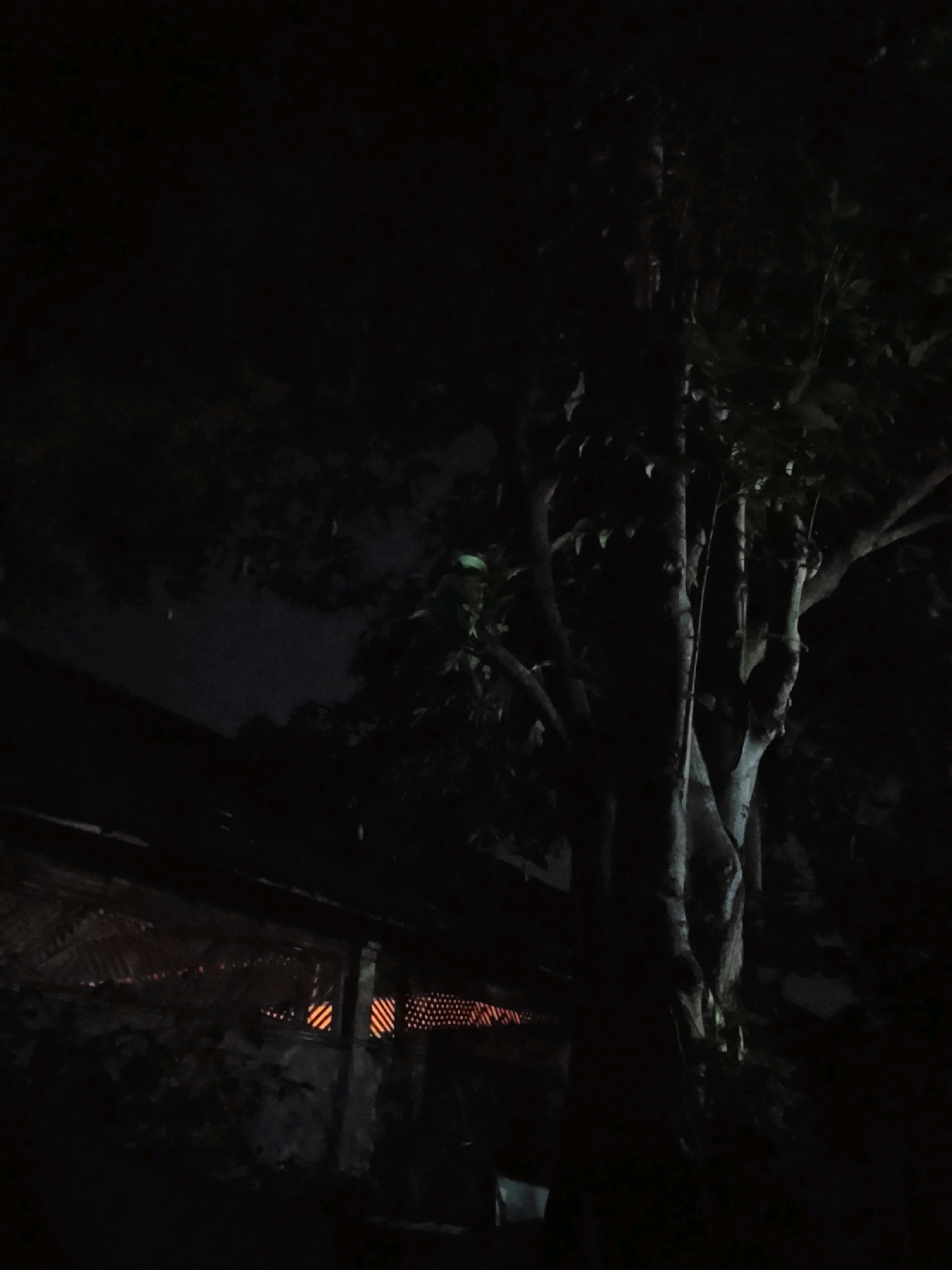 The image depicts a dimly lit outdoor scene at night. The foreground is dominated by the dark silhouette of a large tree with thick branches and foliage. To the left of the tree, a section of a building or structure is visible. This structure appears to be a traditional building with a thatched or woven roof and textured walls. There are openings in the wall that allow a warm, orange light to emanate from within, suggesting illumination from lamps or fire. The background is dark, with hints of a cloudy sky visible above the structure. The overall impression is one of a rural or semi-rural environment in Ujungrusi, Indonesia, observed during nighttime hours. No people are visible in the image.
