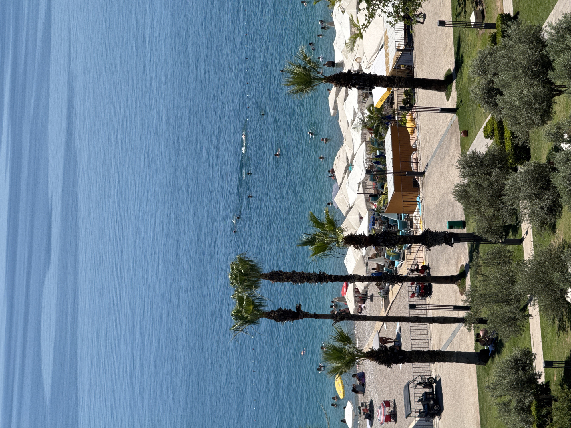 This is a high-angle, medium shot of a beach scene in Konyaaltı, Turkey. The image captures a lively beach with many people enjoying the water and sand. The clear blue water is filled with swimmers, some of whom are swimming laps. The beach is lined with numerous white umbrellas and lounge chairs, indicating a well-developed resort area. Palm trees are scattered across the scene, adding a tropical feel. In the foreground, a grassy area with olive trees and a paved pathway provides a contrast to the beach. There are a few parked vehicles, including a small electric cart, and some people are relaxing on the grass. The overall scene is one of a bustling summer day at the beach.