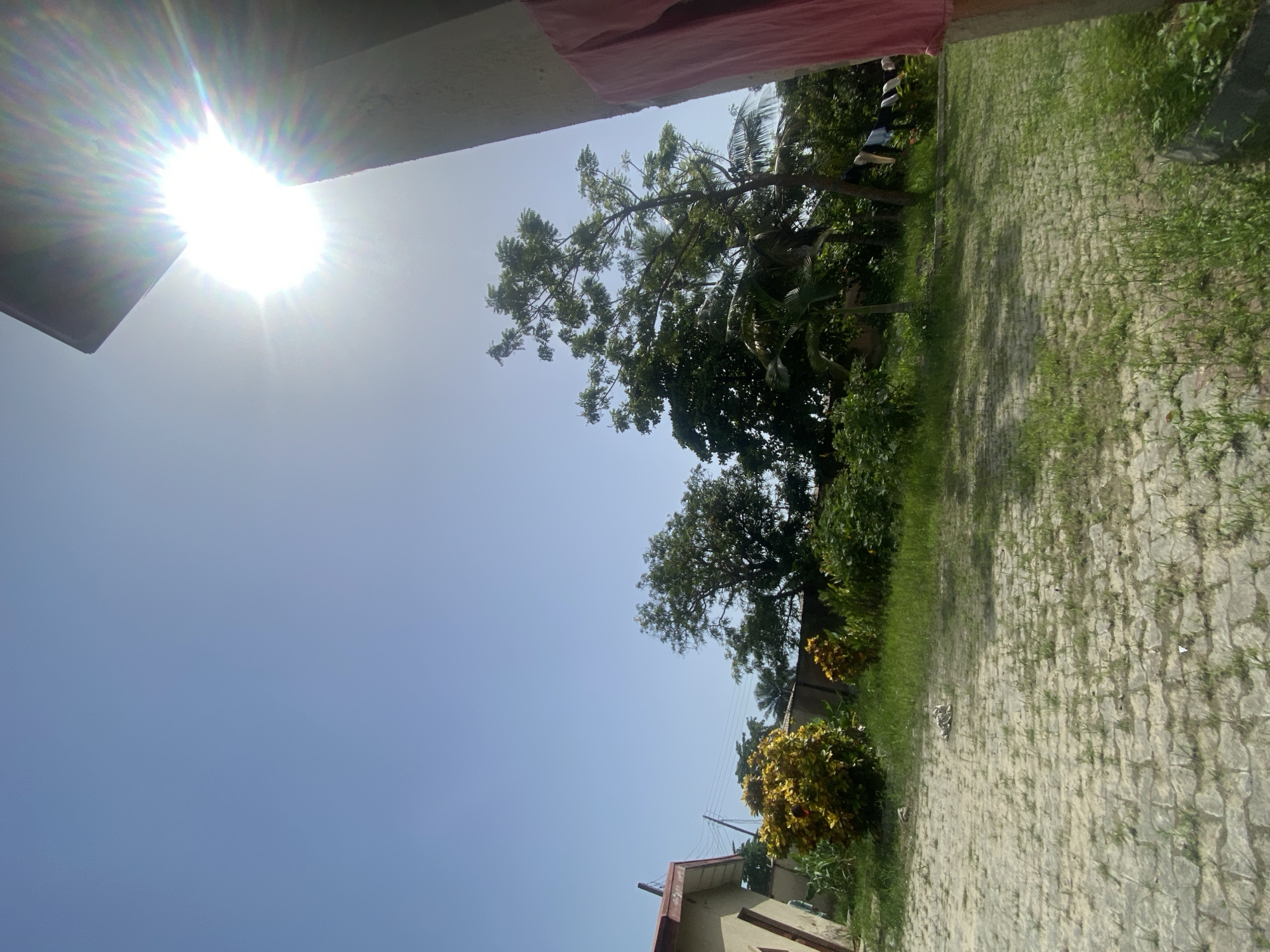 The scene is outdoors in Ado, Nigeria on a sunny day. A bright sun dominates the upper left of the frame. There is a partial view of a building structure at the top left with a red cloth draped over it. A tree with dense foliage is visible, along with other trees and vegetation, including bushes with yellow flowers. In the lower portion, a portion of a building is seen. A paved area with some grass growing between the stones occupies the right portion. Clothes hanging on a line.
