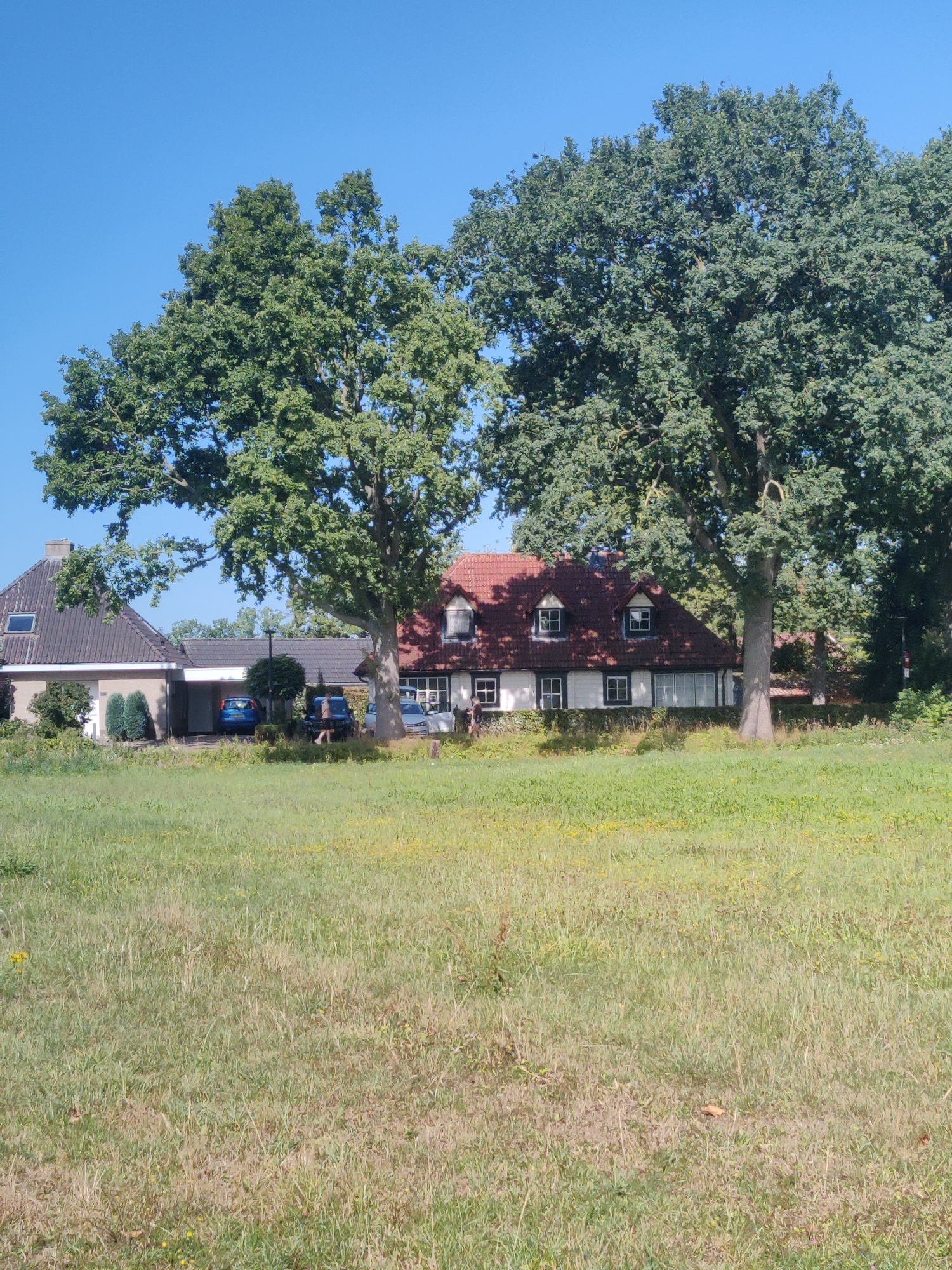 The image depicts a residential property with a two-story house and an attached garage in the city of Winterswijk, Netherlands. The house has a red tile roof and white walls with black window frames. Several cars are parked in the driveway and garage. Two large oak trees are prominent in the foreground, casting shadows on the property. The area surrounding the house is a grassy field, typical of the rural landscape of Winterswijk. The sky is clear and blue, indicating a sunny day.