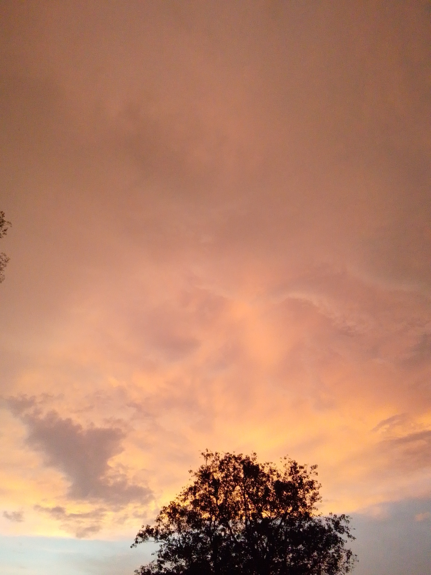 A silhouette of a tree is visible against a sunset sky. The sky is filled with clouds that are illuminated by the setting sun, creating a gradient of colors from pale orange to pink. The tree is dark and appears to be in full leaf. The image is taken from a low angle, looking up at the sky and the tree. The location is Serti, Nigeria.
