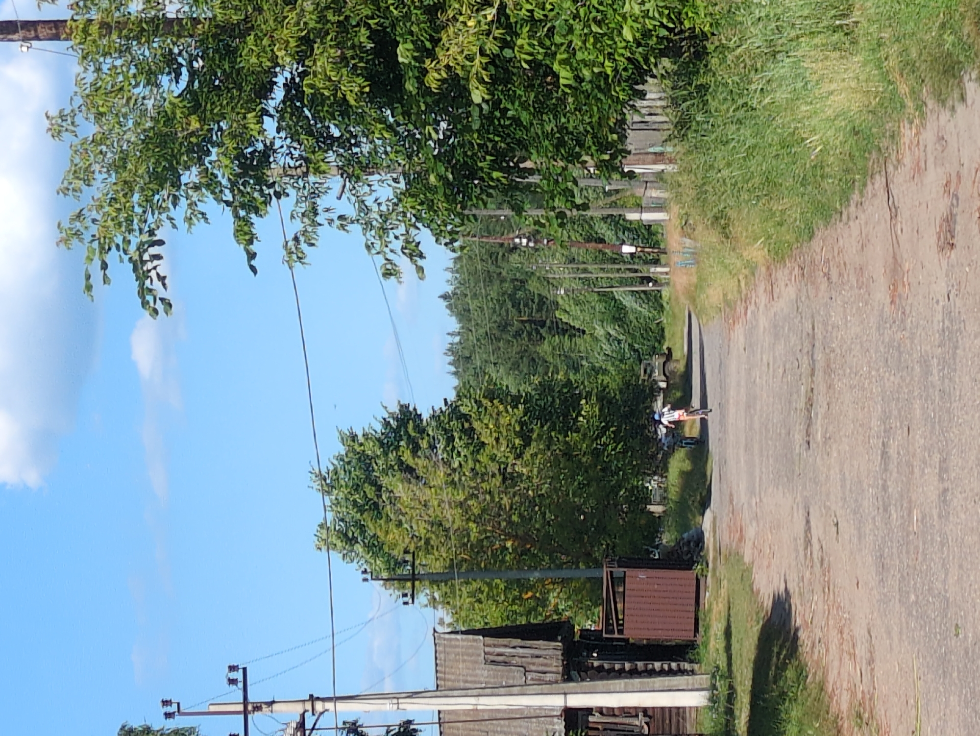 This is a medium shot, eye-level, natural light outdoor photograph taken in the city of Velet'ma, Russia. The scene depicts a dirt road in a rural setting with a clear blue sky dotted with white clouds. On the left side of the road is a weathered wooden building with a grey, corrugated roof and a brown metal gate. A utility pole stands next to the building, adorned with electrical insulators and wires. To the right of the road, tall green trees with dense foliage dominate the frame. Further down the road, a person is seen riding a bicycle, wearing a white shirt and orange shorts. A second person on a bicycle is visible behind them. The road is lined with grass and other vegetation. In the distance, a dense forest can be seen.